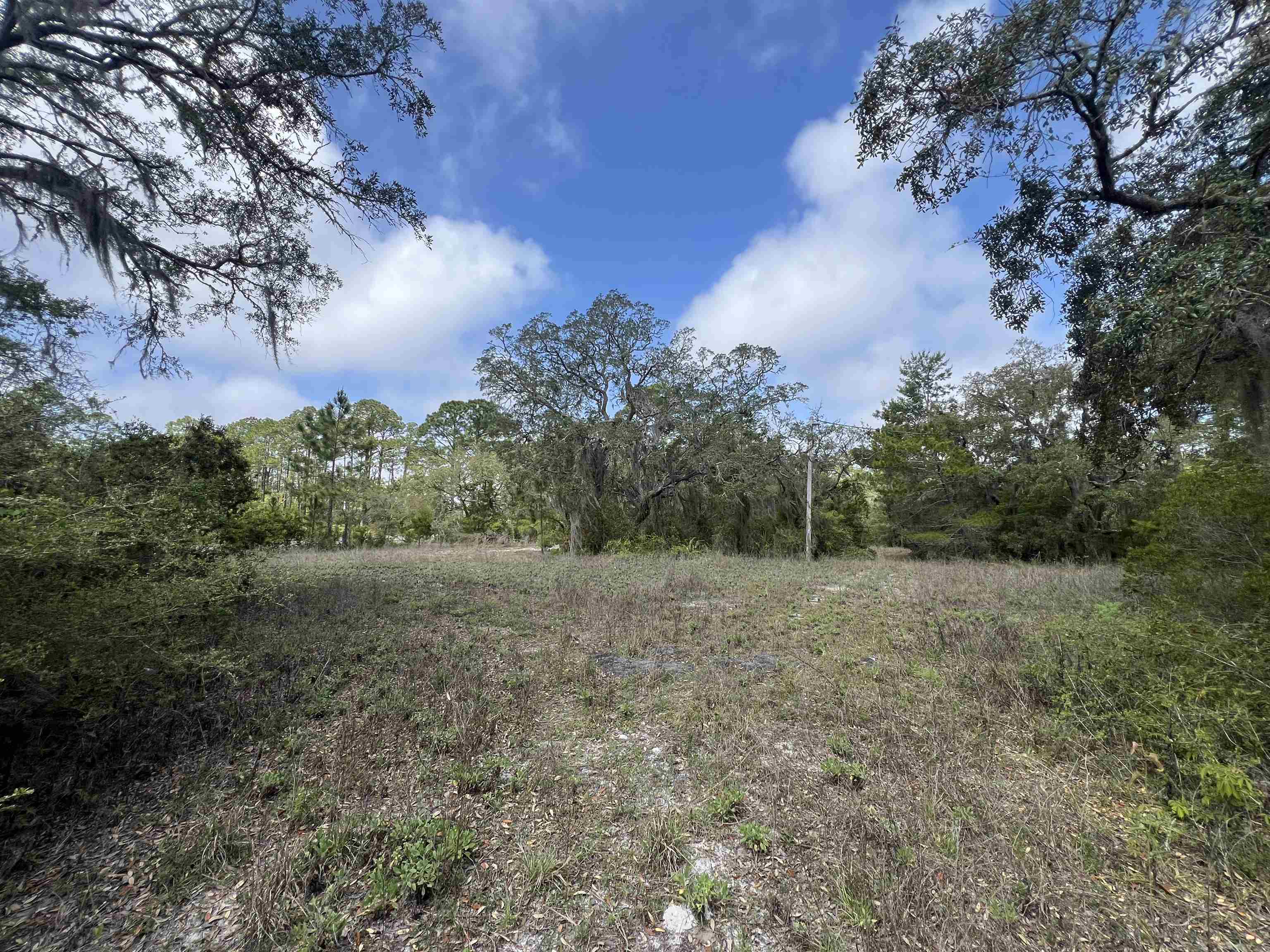 XX Surf Road, Panacea, Florida image 3