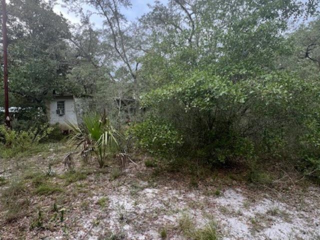 149 Levy Bay Road, Panacea, Florida image 2