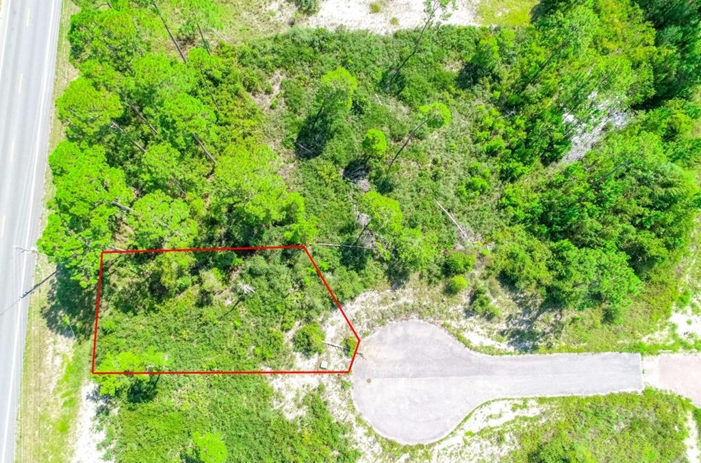 201 Carraway Lane, Carrabelle, Florida image 1