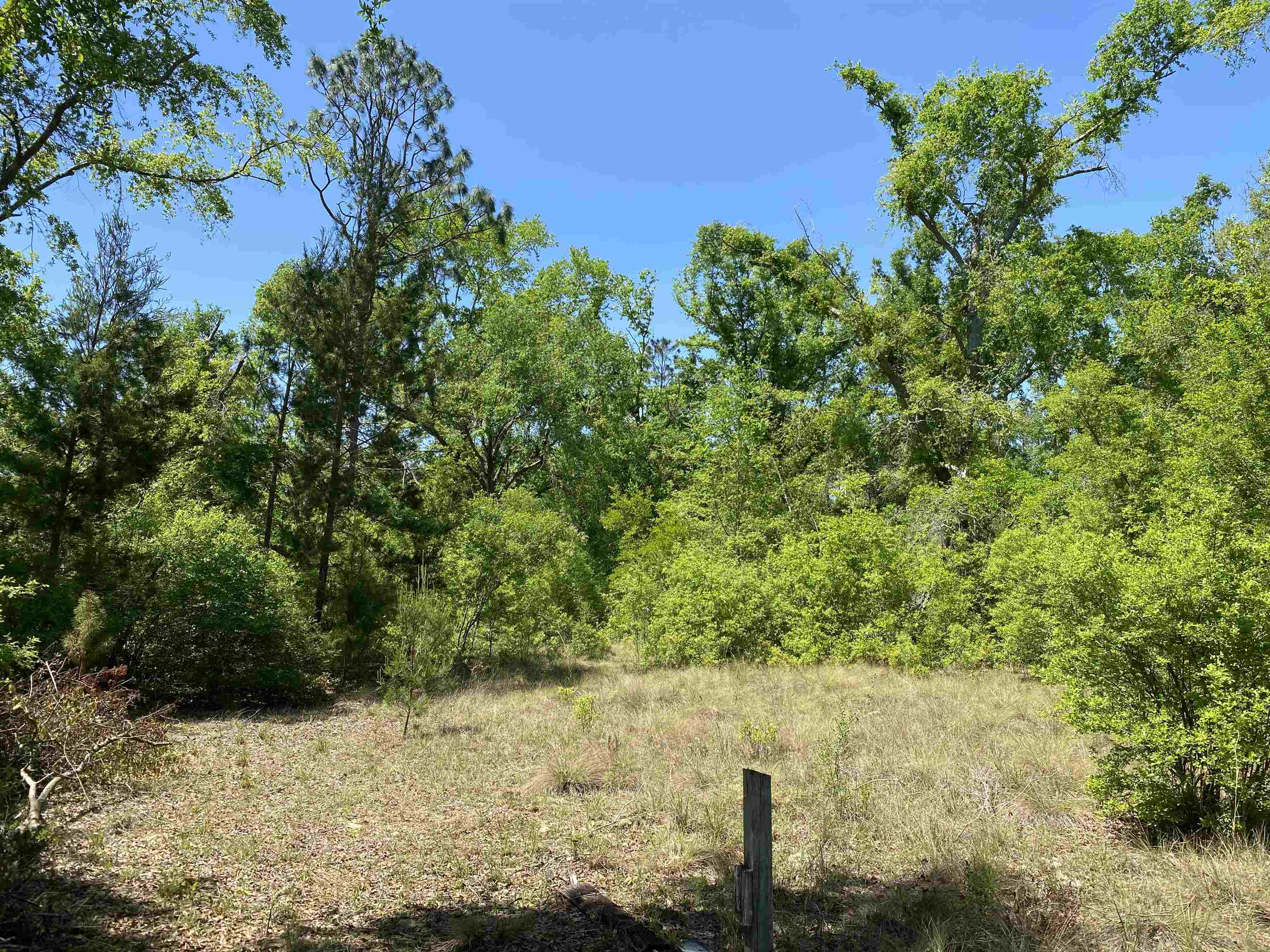 416 NE Hillside Terrace, Lee, Florida image 1
