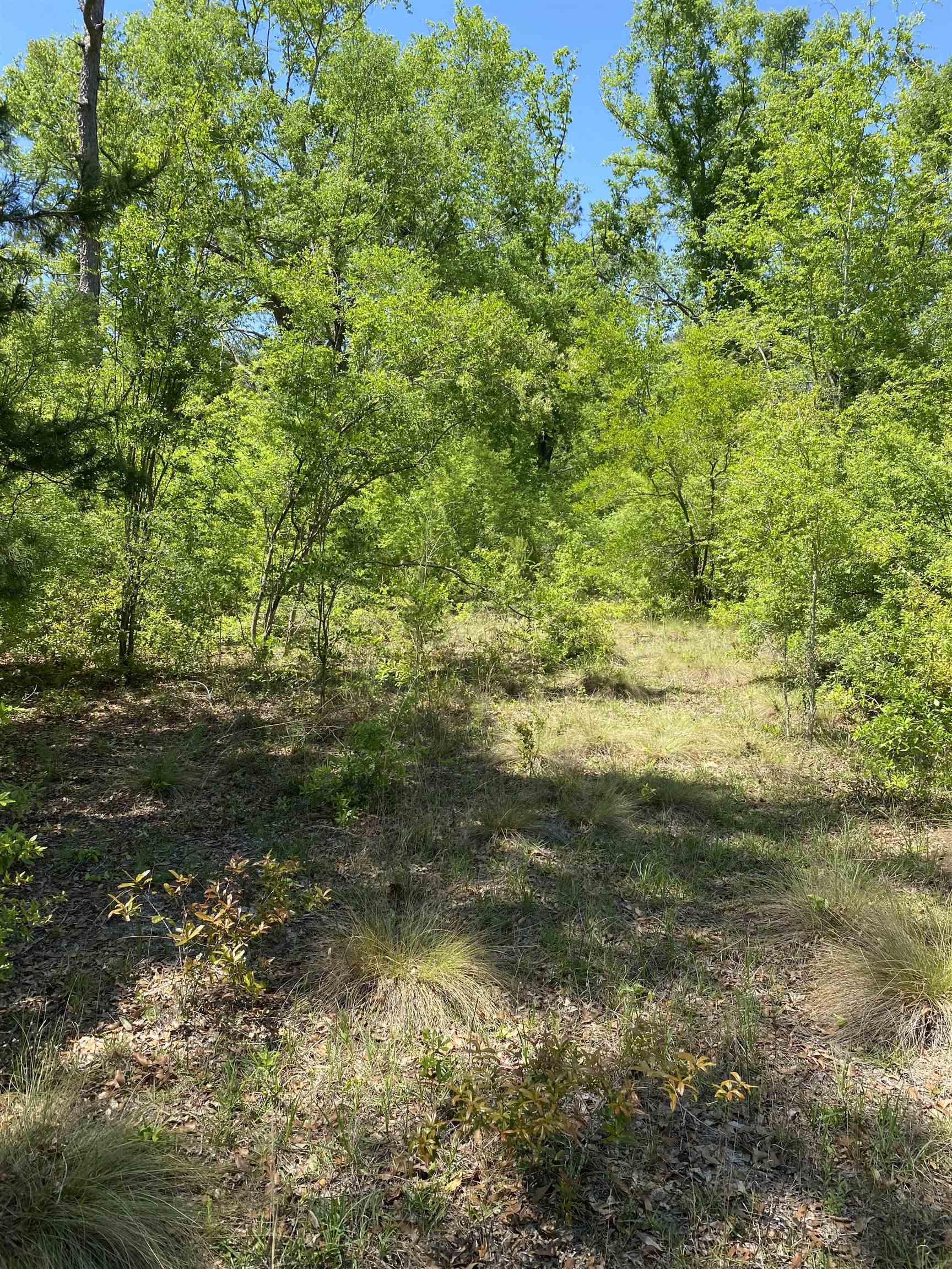 416 NE Hillside Terrace, Lee, Florida image 10
