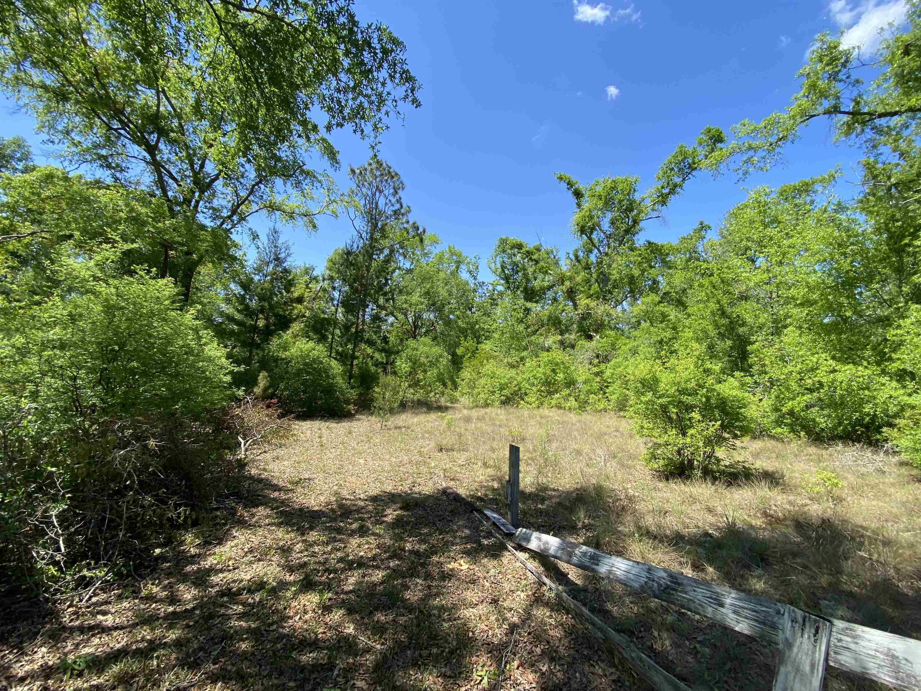 416 NE Hillside Terrace, Lee, Florida image 11