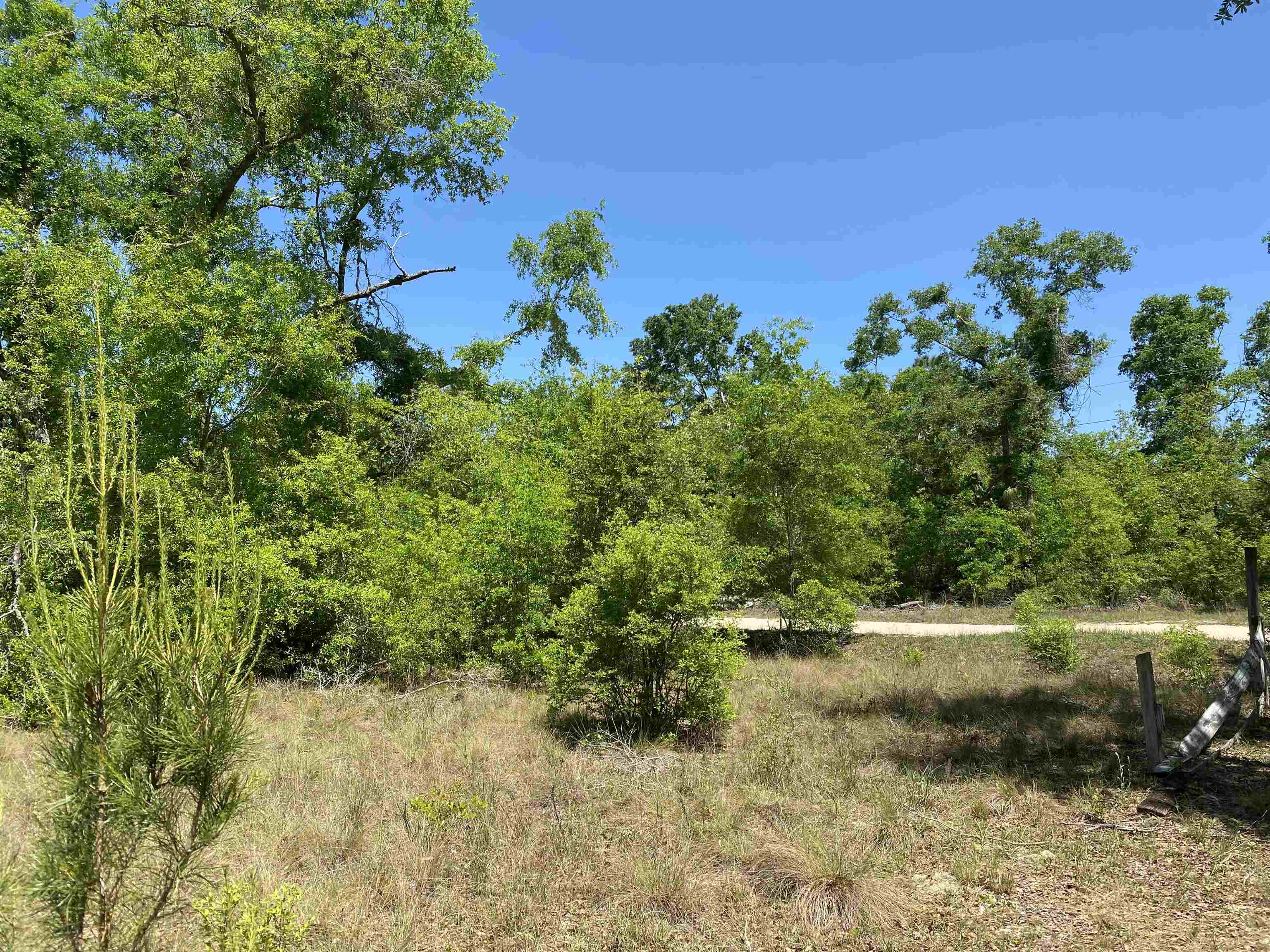 416 NE Hillside Terrace, Lee, Florida image 12