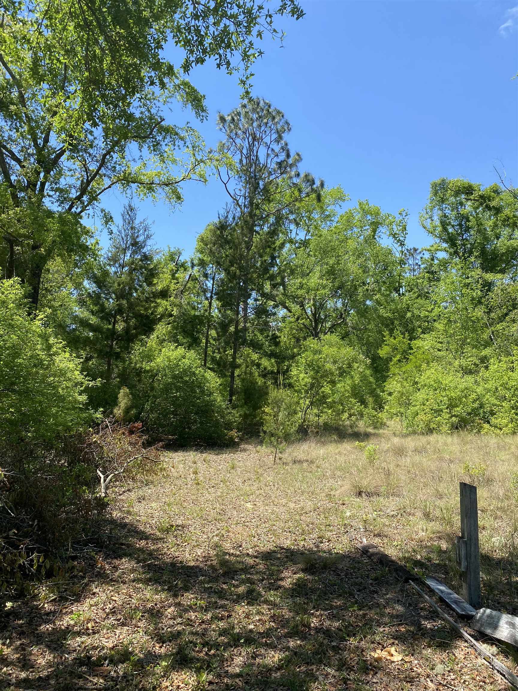 416 NE Hillside Terrace, Lee, Florida image 14