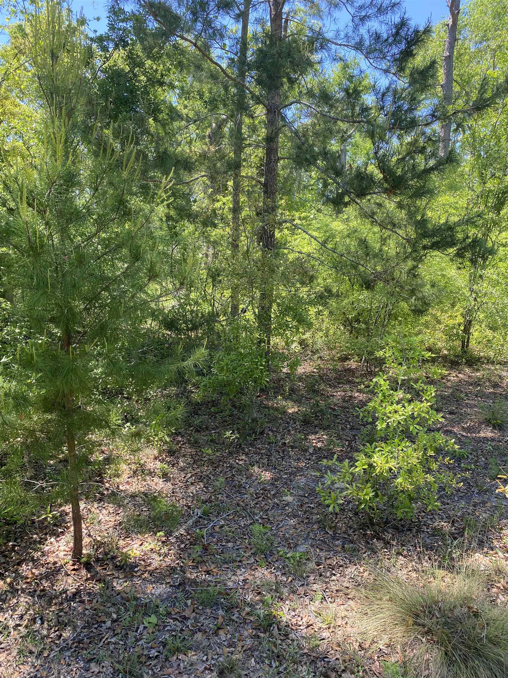 416 NE Hillside Terrace, Lee, Florida image 2