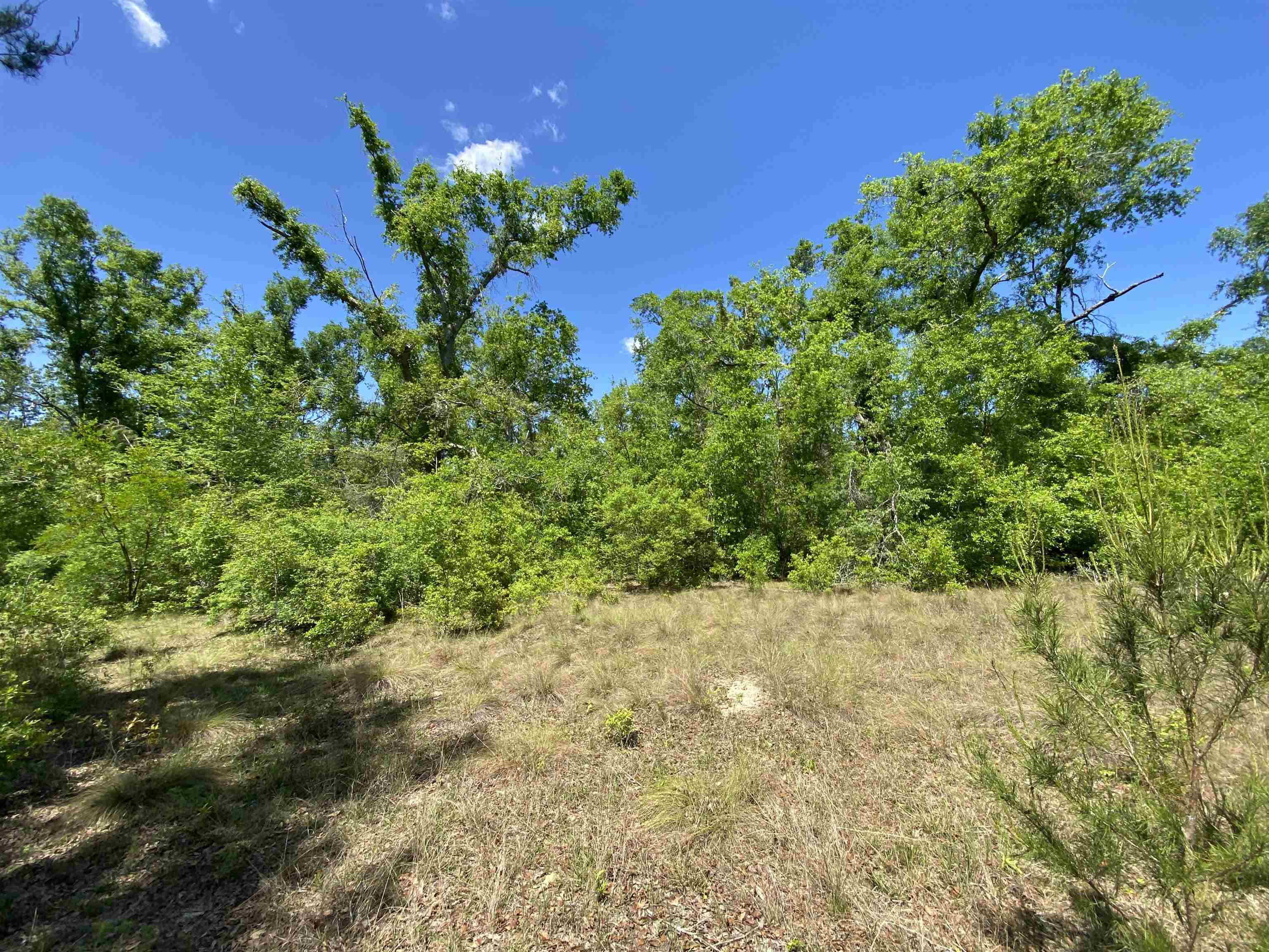 416 NE Hillside Terrace, Lee, Florida image 4