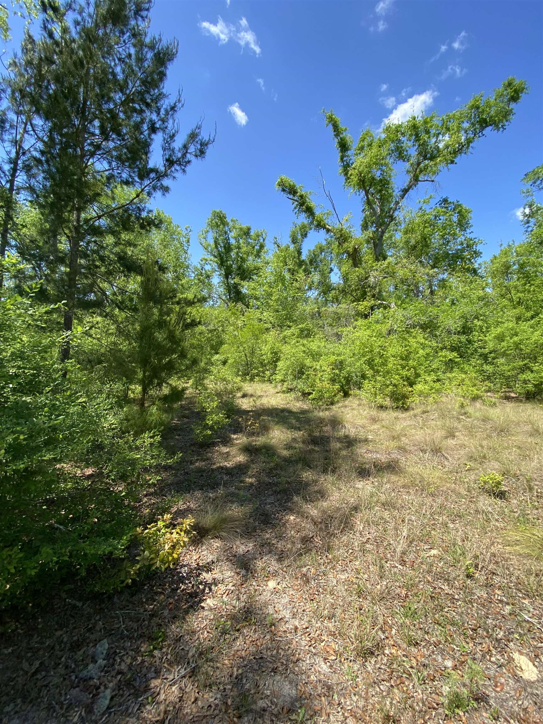 416 NE Hillside Terrace, Lee, Florida image 6