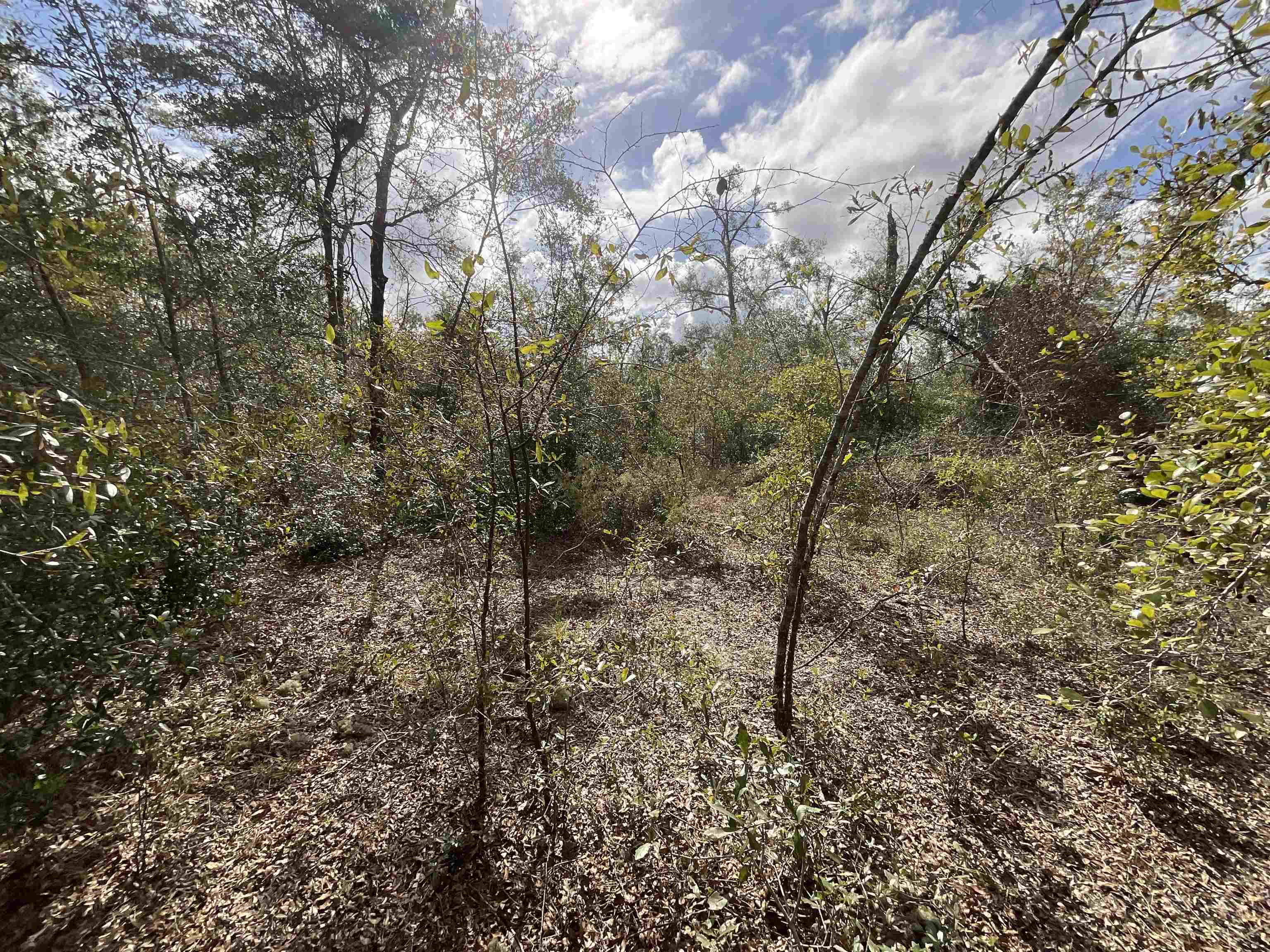 ***TBD*** SE River Road, Lee, Florida image 10
