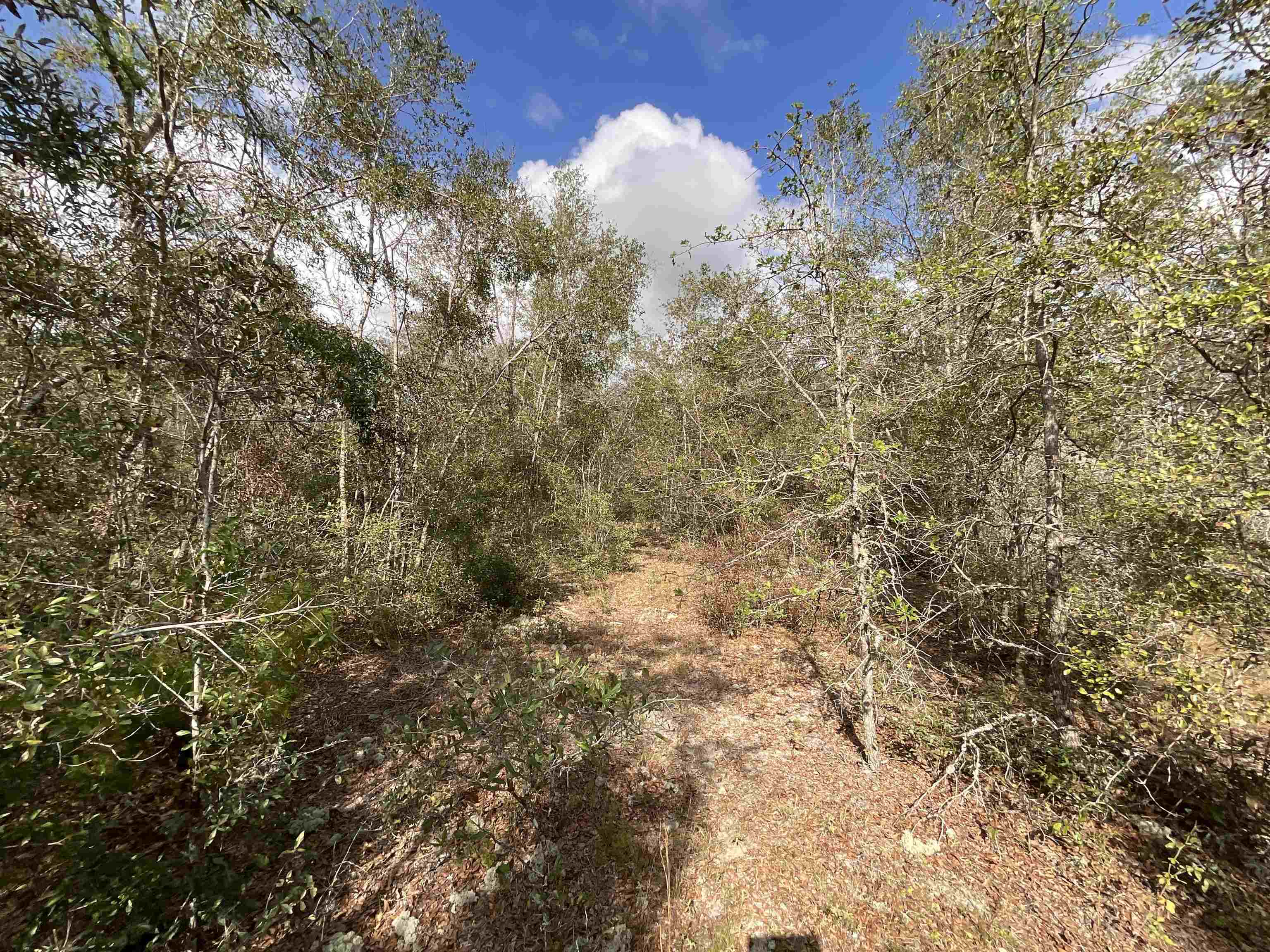 ***TBD*** SE River Road, Lee, Florida image 13