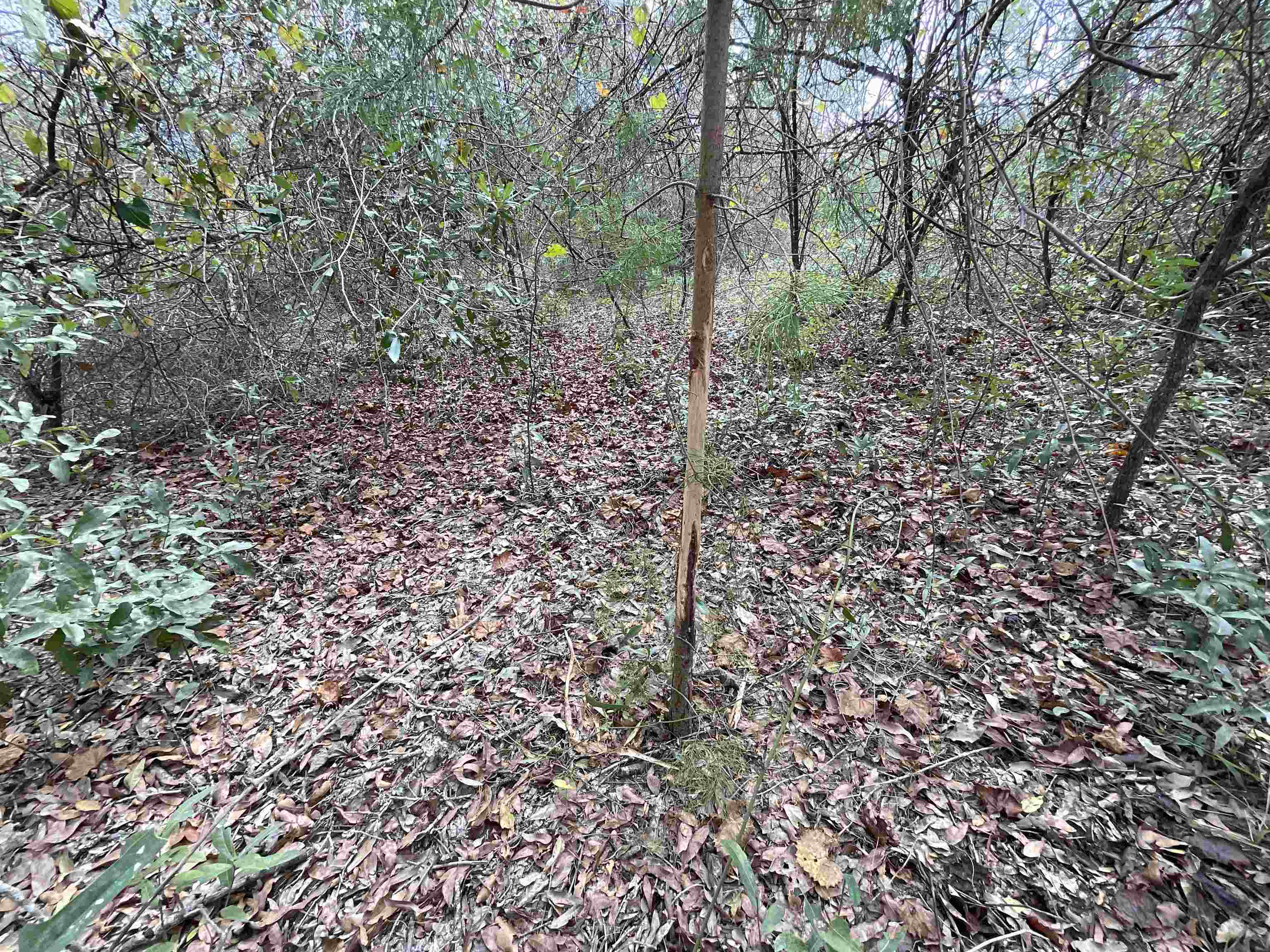 ***TBD*** SE River Road, Lee, Florida image 21