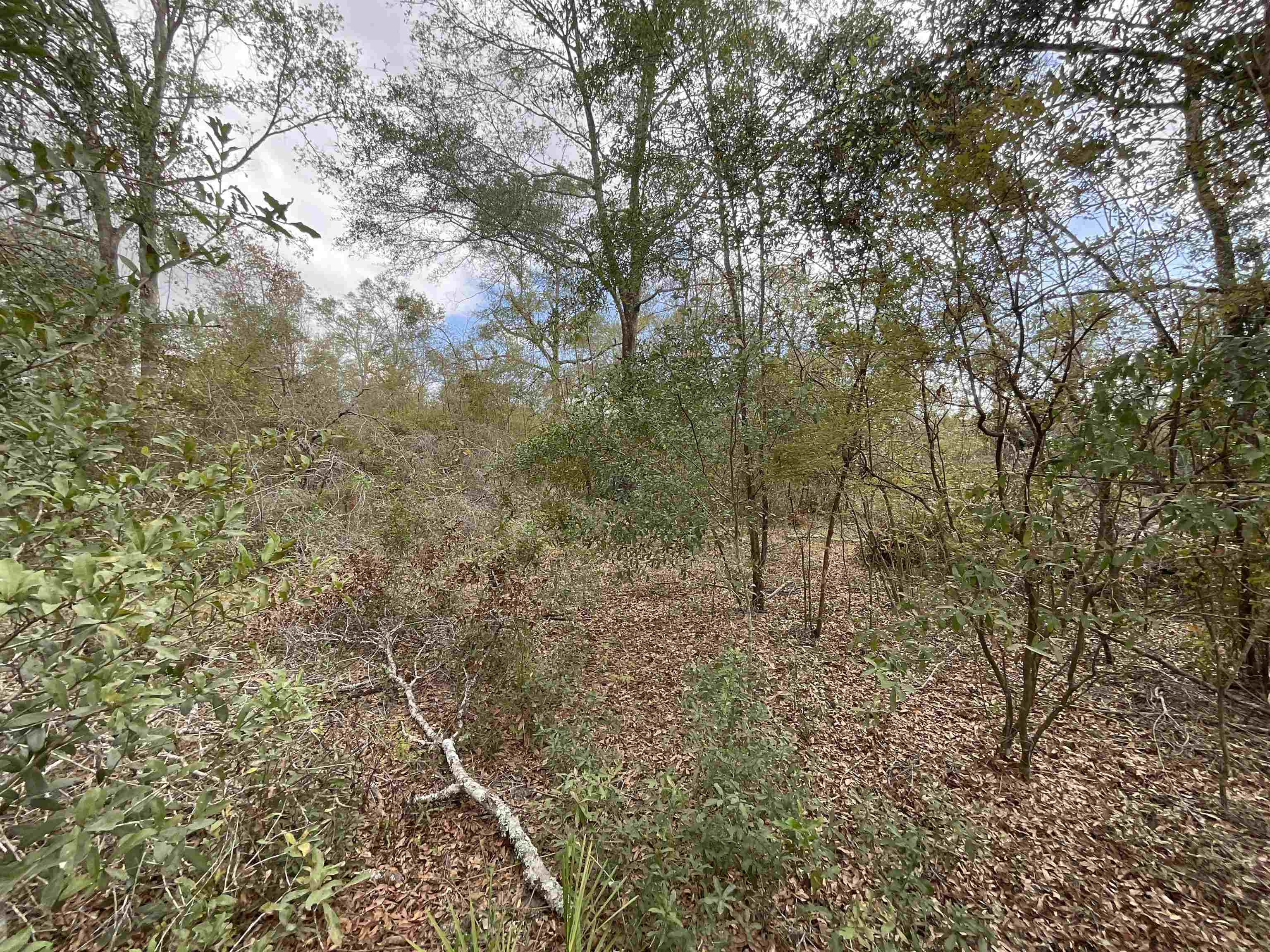 ***TBD*** SE River Road, Lee, Florida image 23