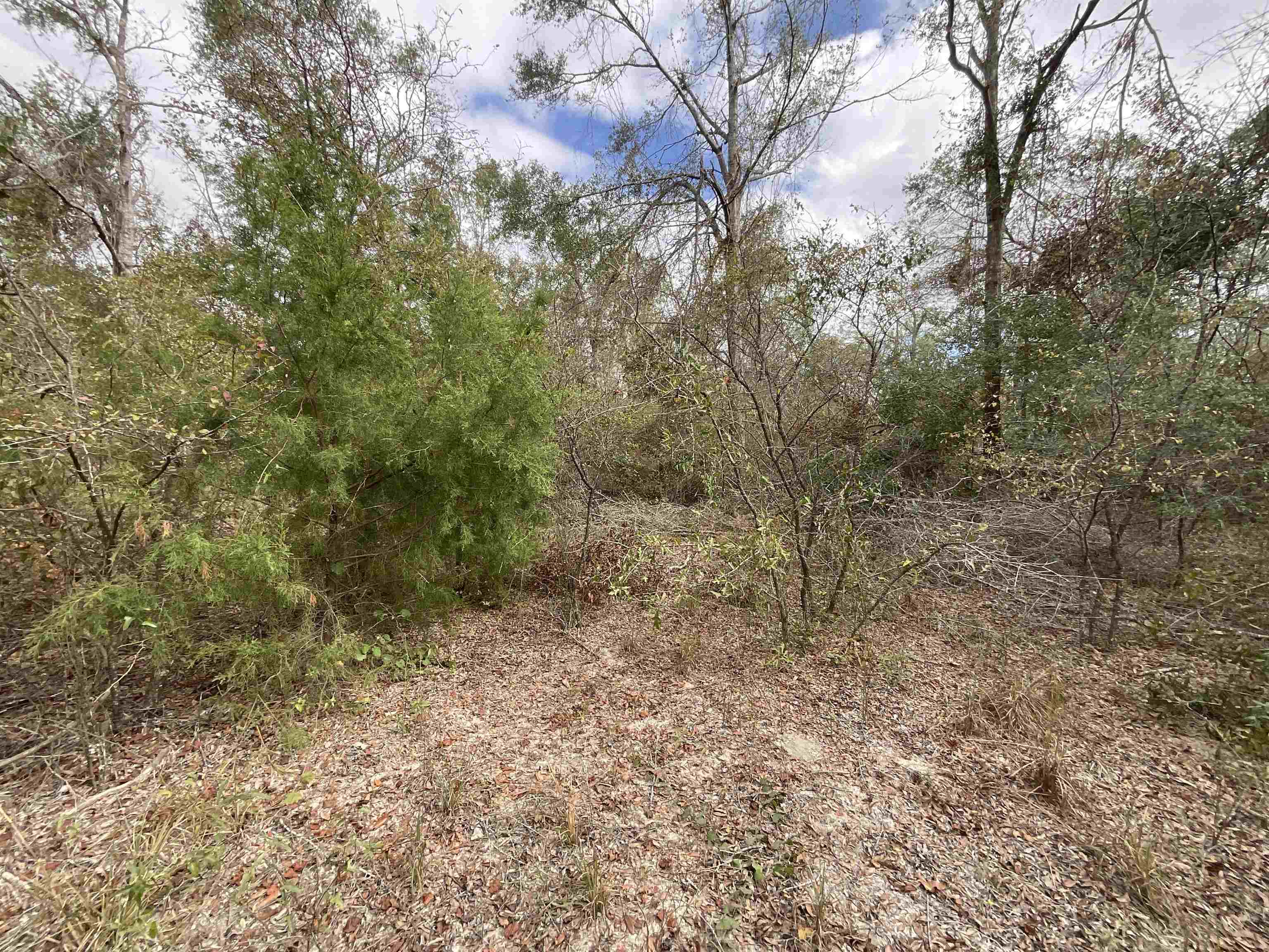 ***TBD*** SE River Road, Lee, Florida image 24