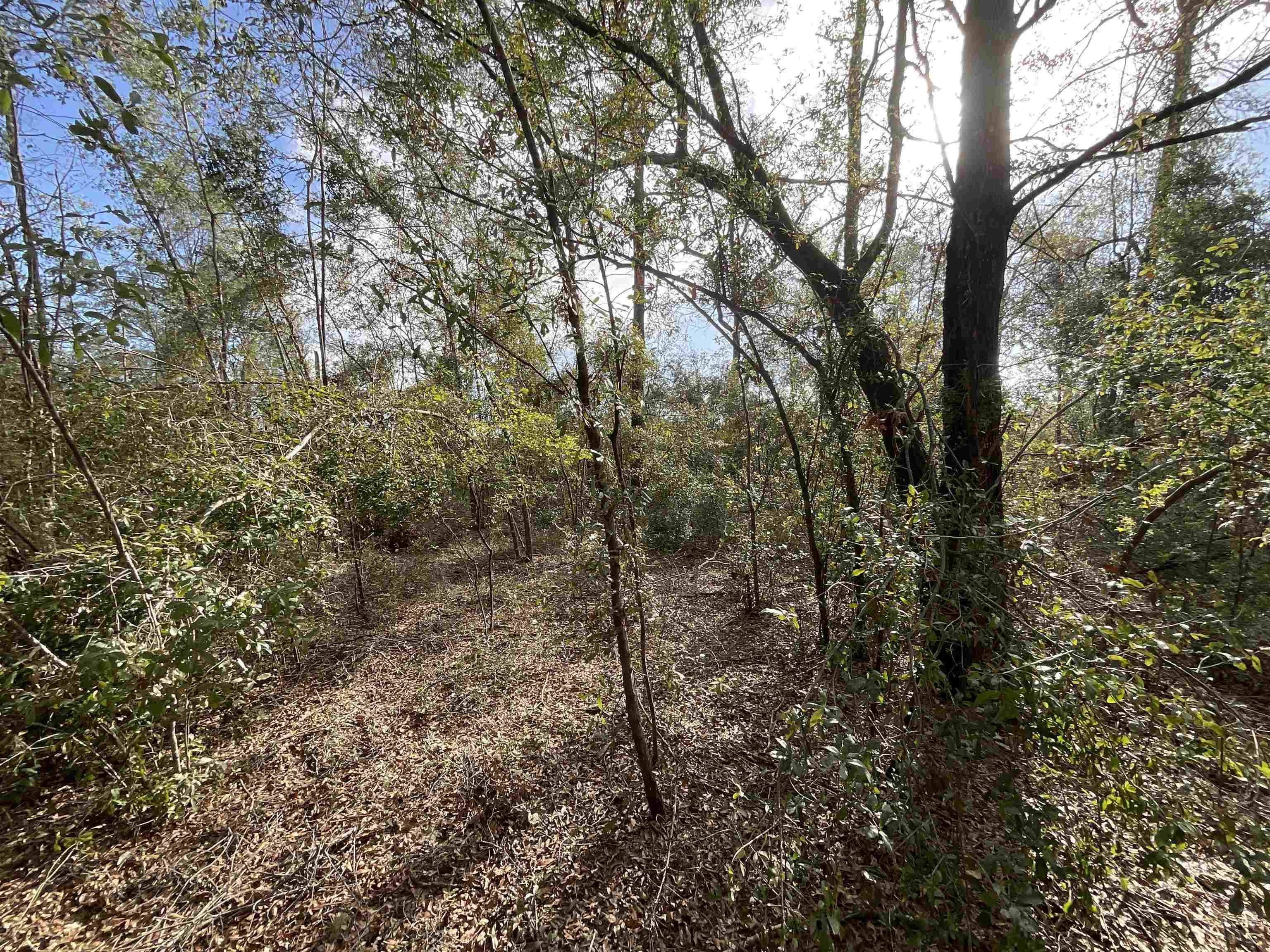 ***TBD*** SE River Road, Lee, Florida image 31
