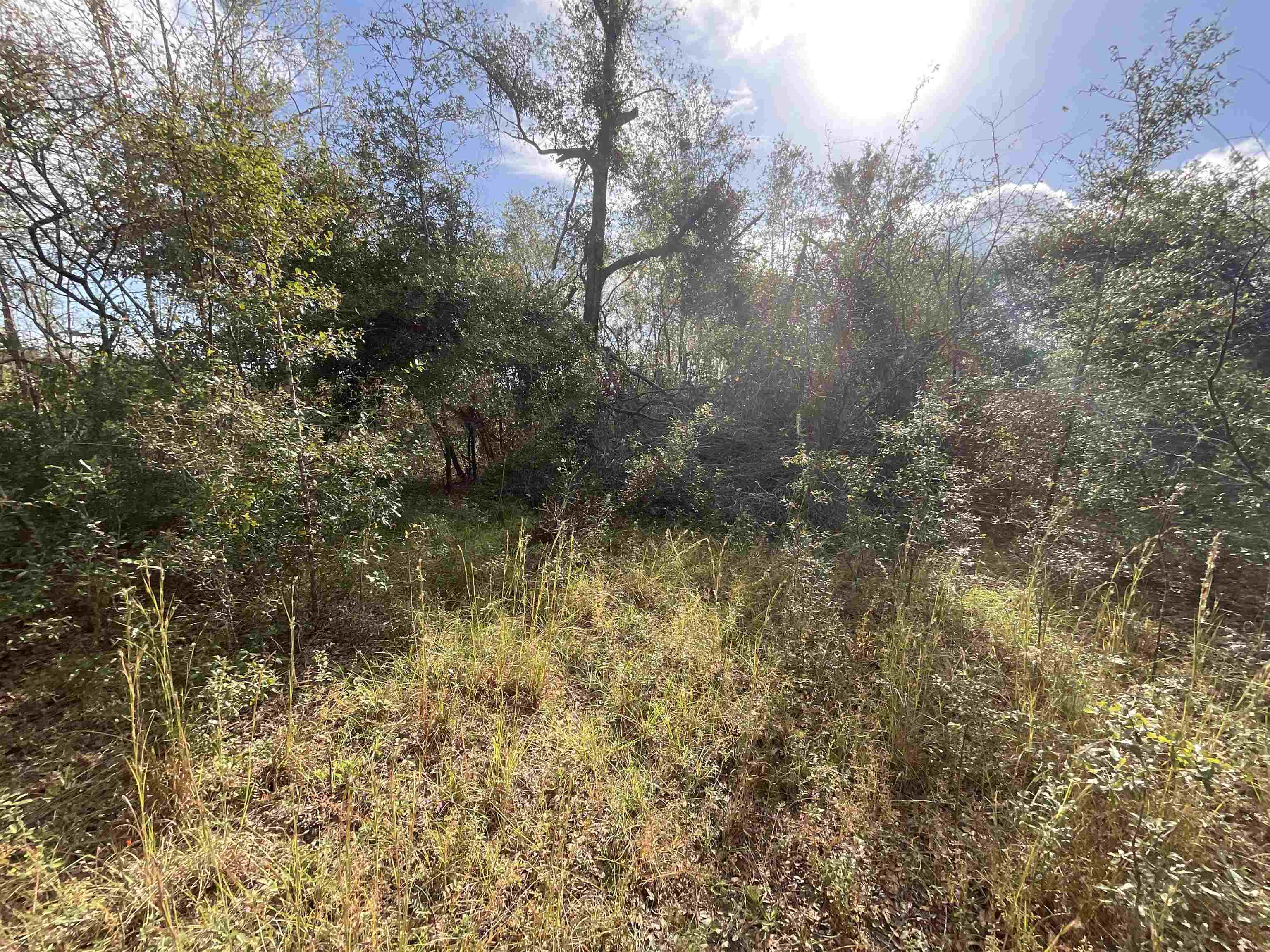 ***TBD*** SE River Road, Lee, Florida image 36