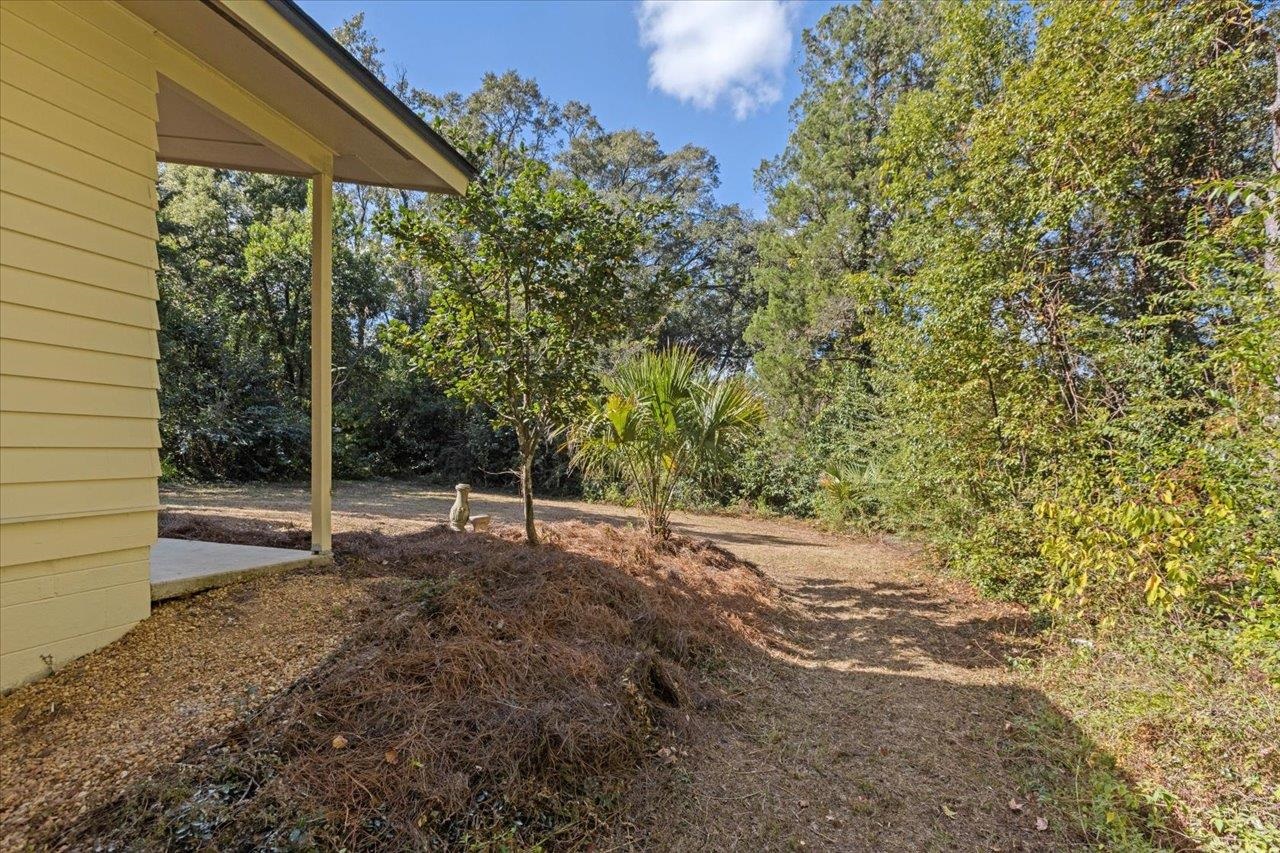 1807 Ivan Drive, Tallahassee, Texas image 29