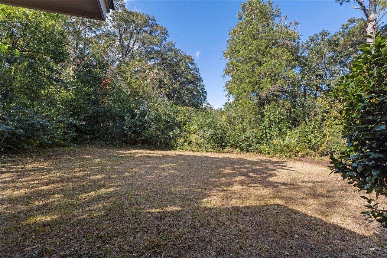 1807 Ivan Drive, Tallahassee, Texas image 32