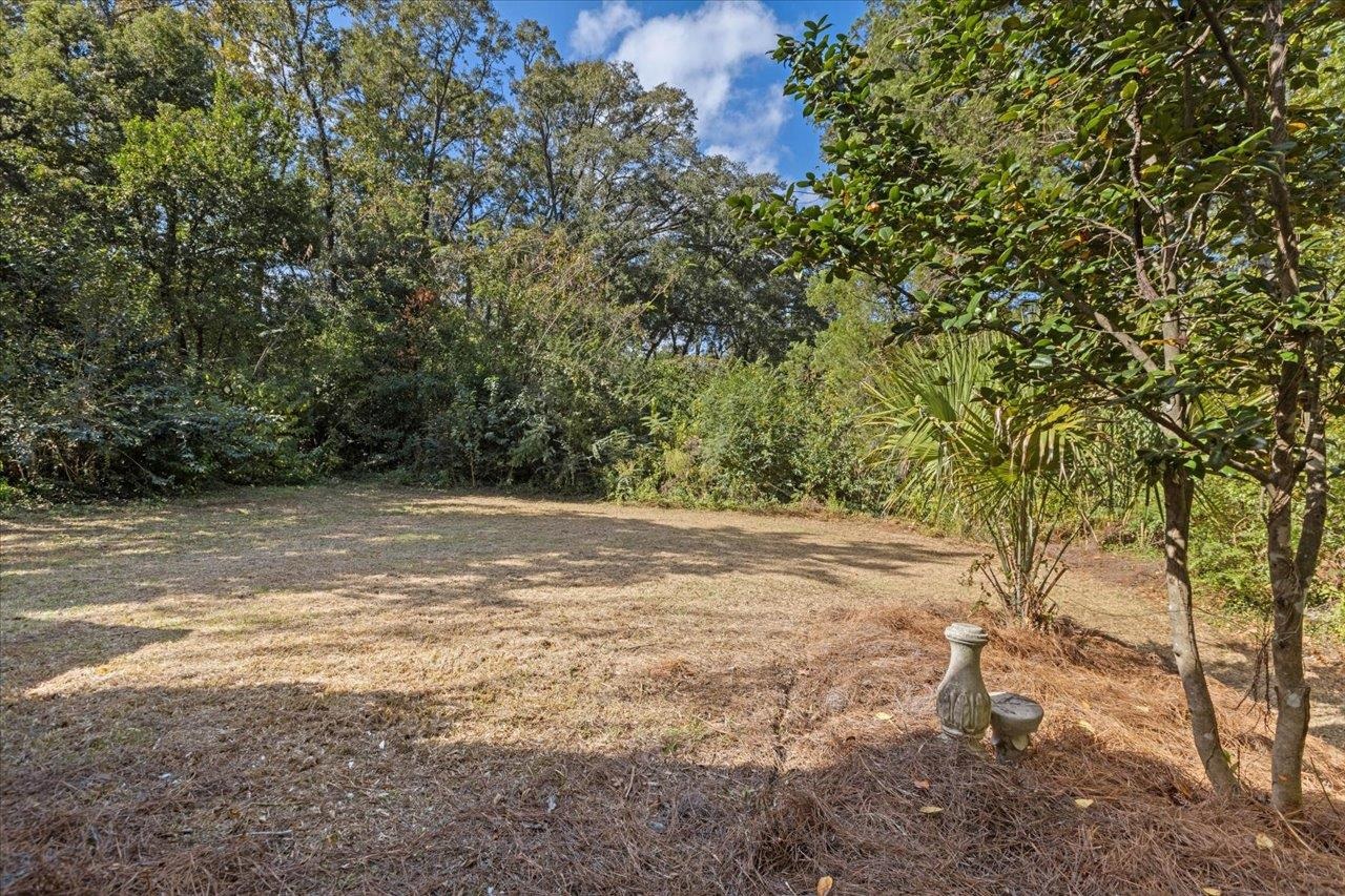 1807 Ivan Drive, Tallahassee, Texas image 33