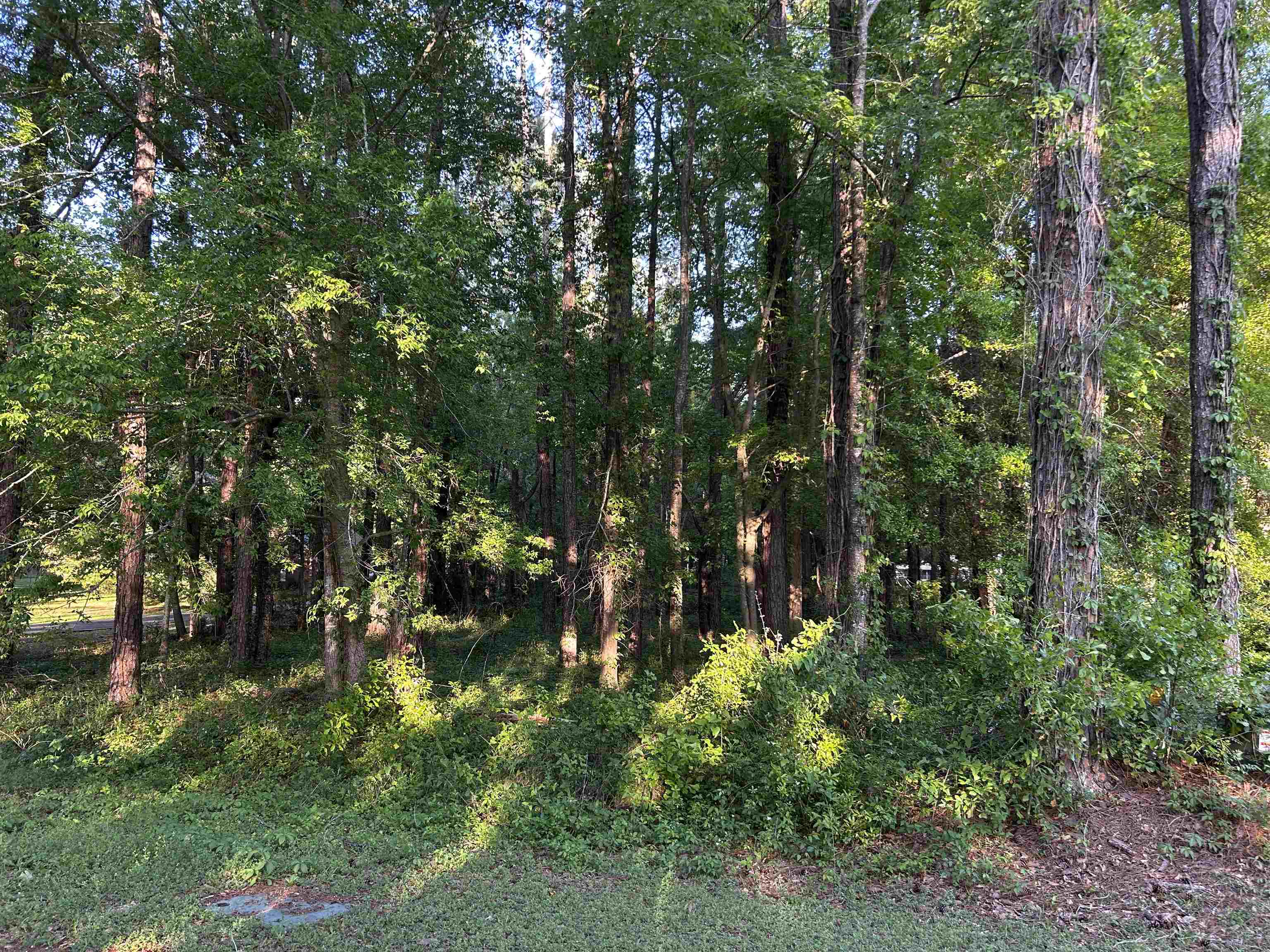 Mcleod Drive, Tallahassee, Florida image 4