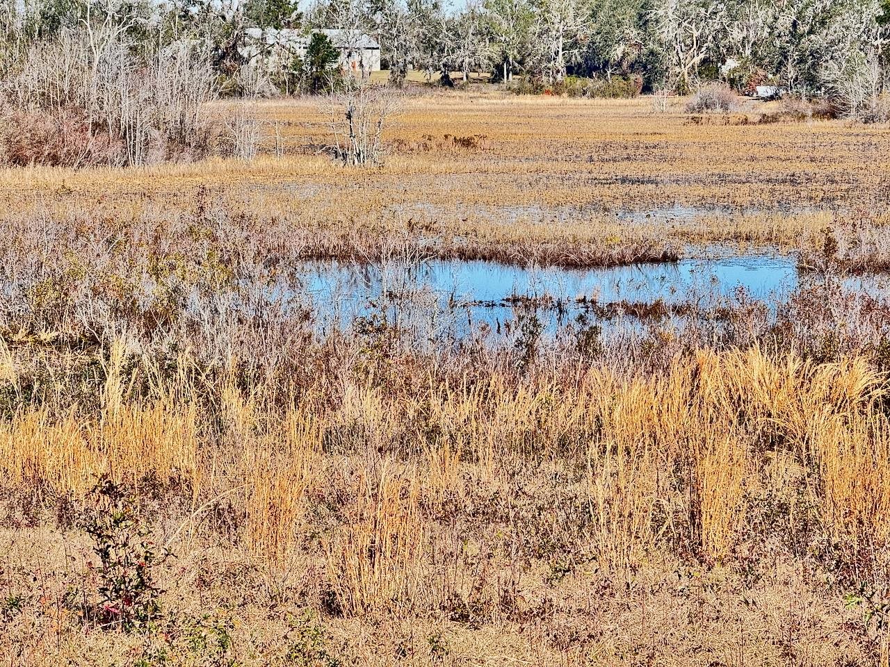 VACANT Sw Cr 360, Madison, Florida image 16