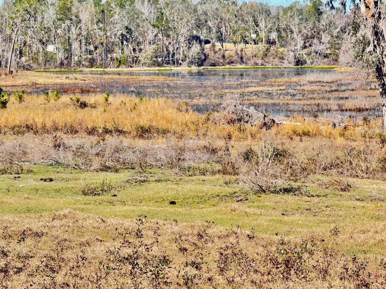 VACANT Sw Cr 360, Madison, Florida image 17
