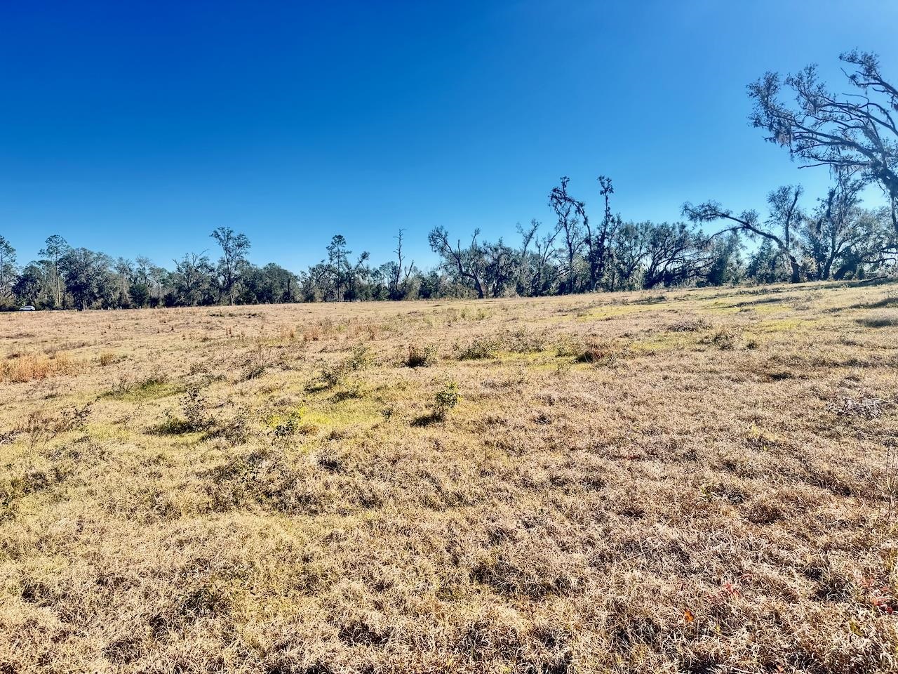 VACANT Sw Cr 360, Madison, Florida image 18