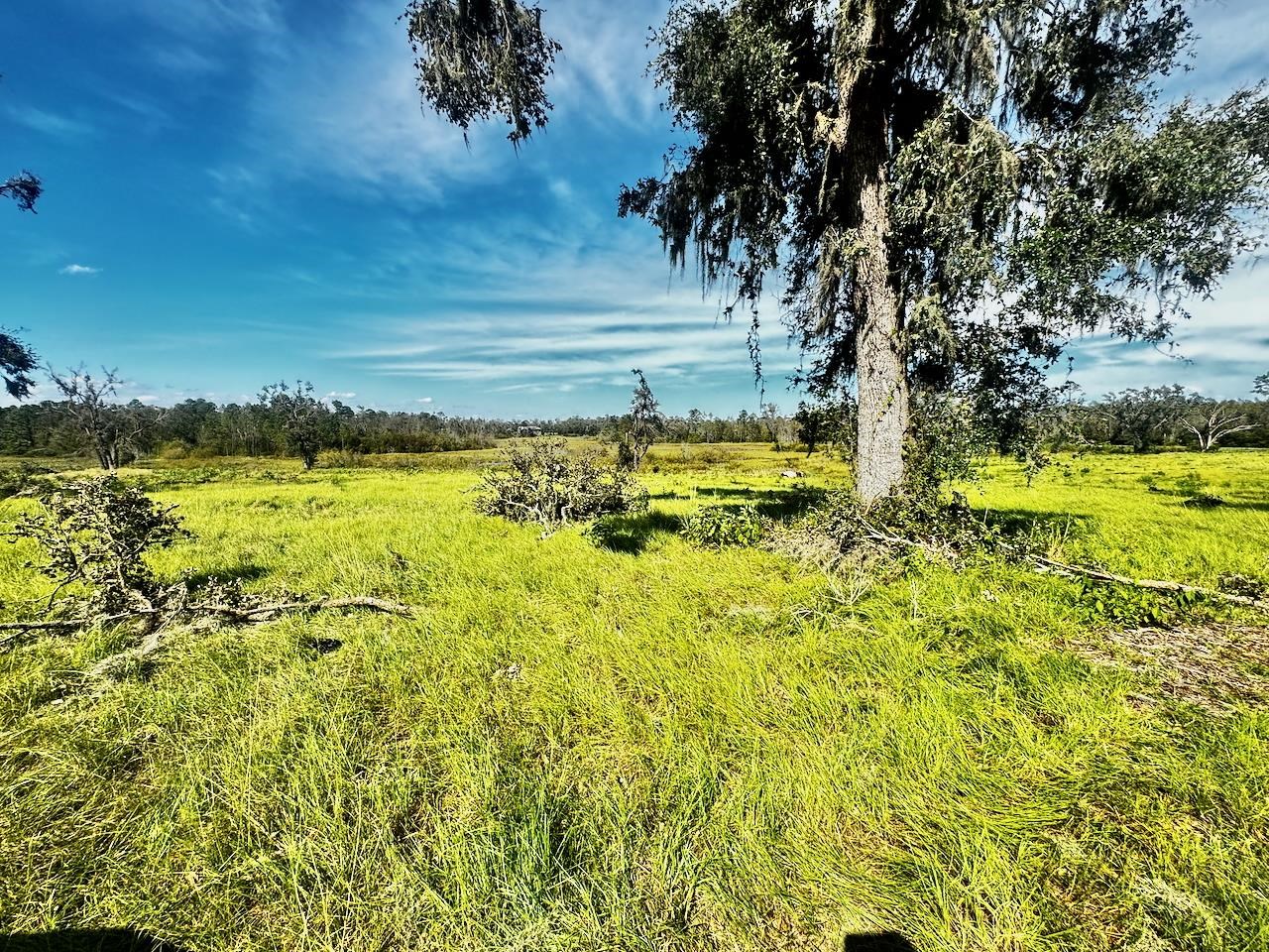 VACANT Sw Cr 360, Madison, Florida image 7