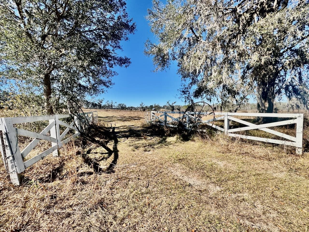 VACANT Sw Cr 360, Madison, Florida image 9