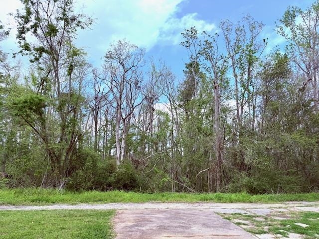 XXX SW Ray Charles Avenue, Greenville, Florida image 2