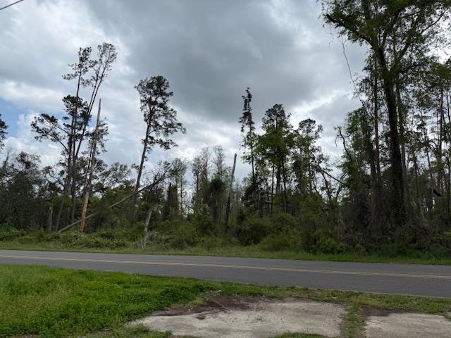 XXX SW Ray Charles Avenue, Greenville, Florida image 3