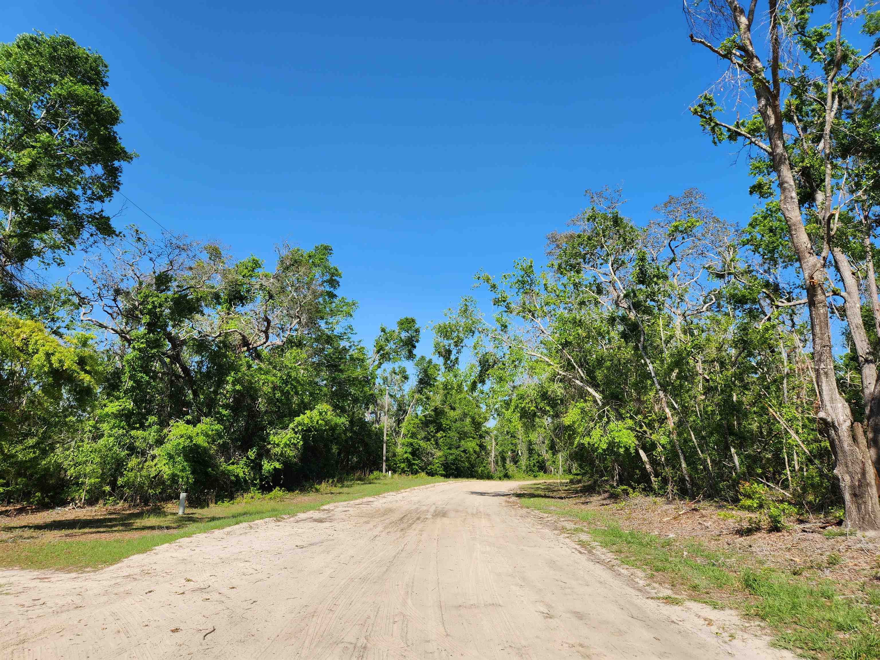 Lot 14 NW Champion Oak Boulevard, Jennings, Florida image 11