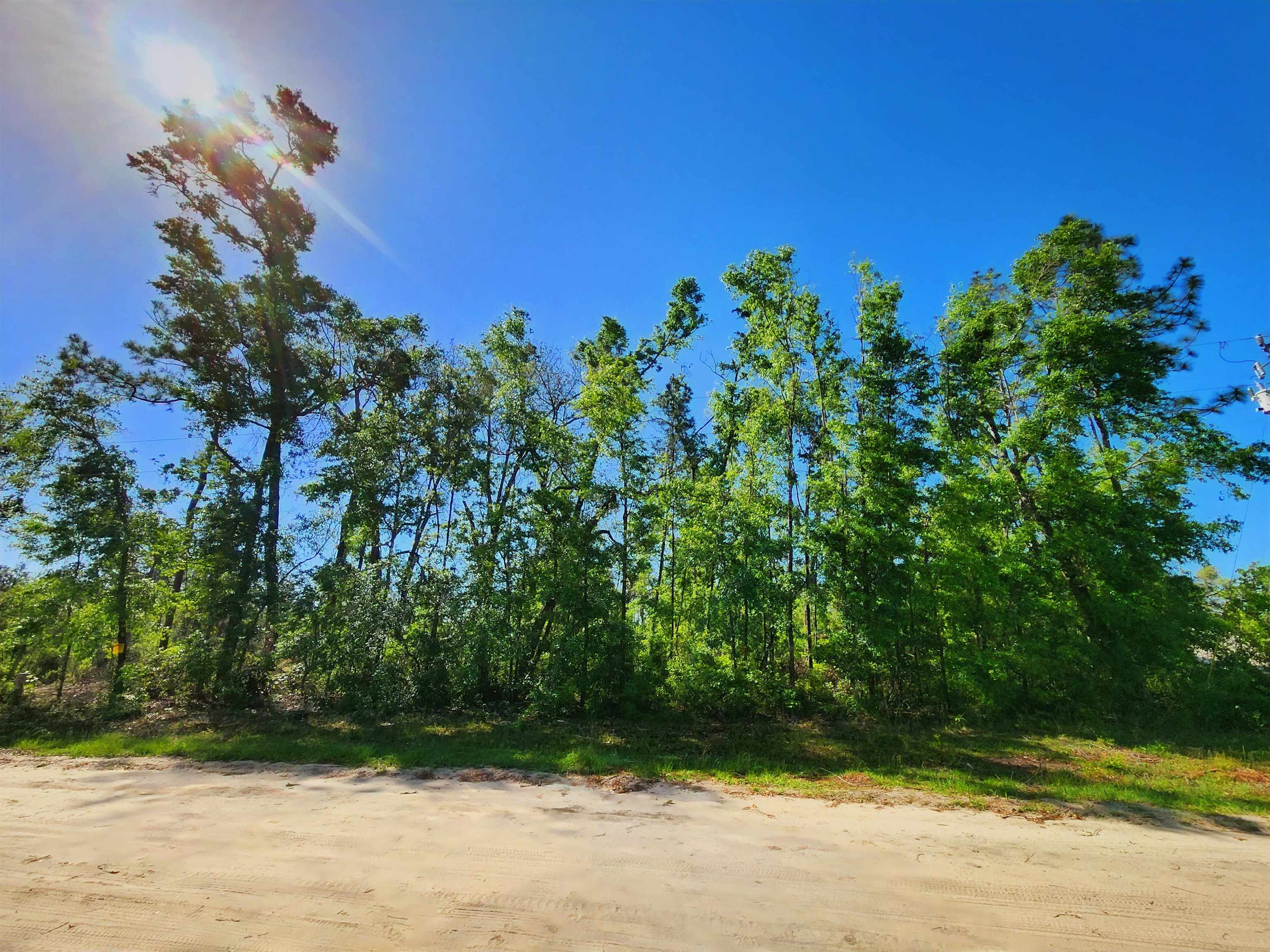 Lot 14 NW Champion Oak Boulevard, Jennings, Florida image 3