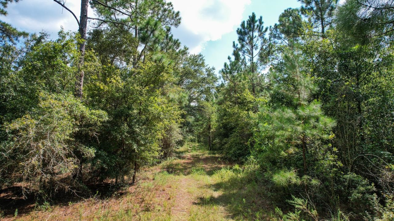 379 Glory Road, Quincy, Florida image 20