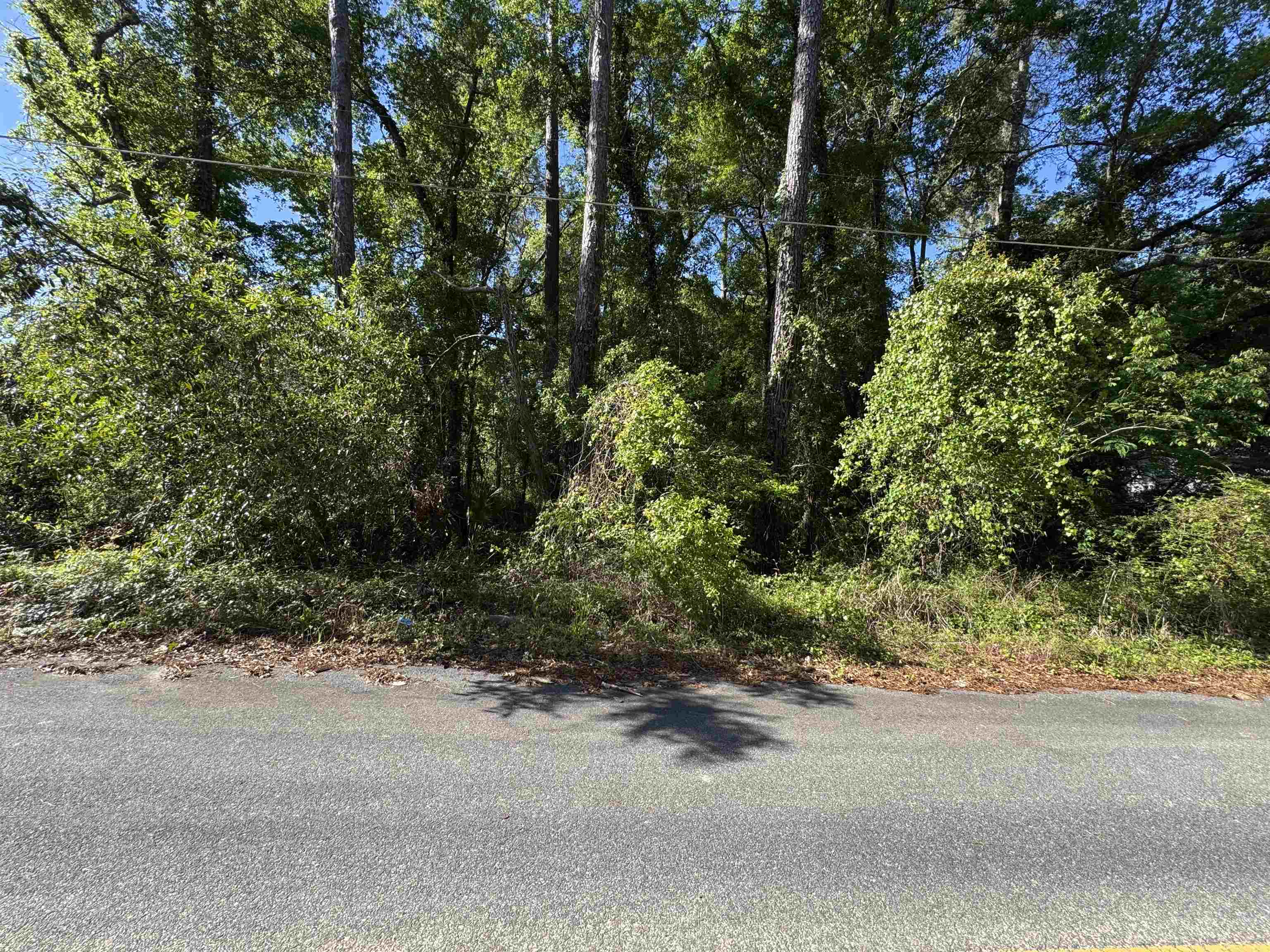 Palawan Road, Tallahassee, Texas image 10