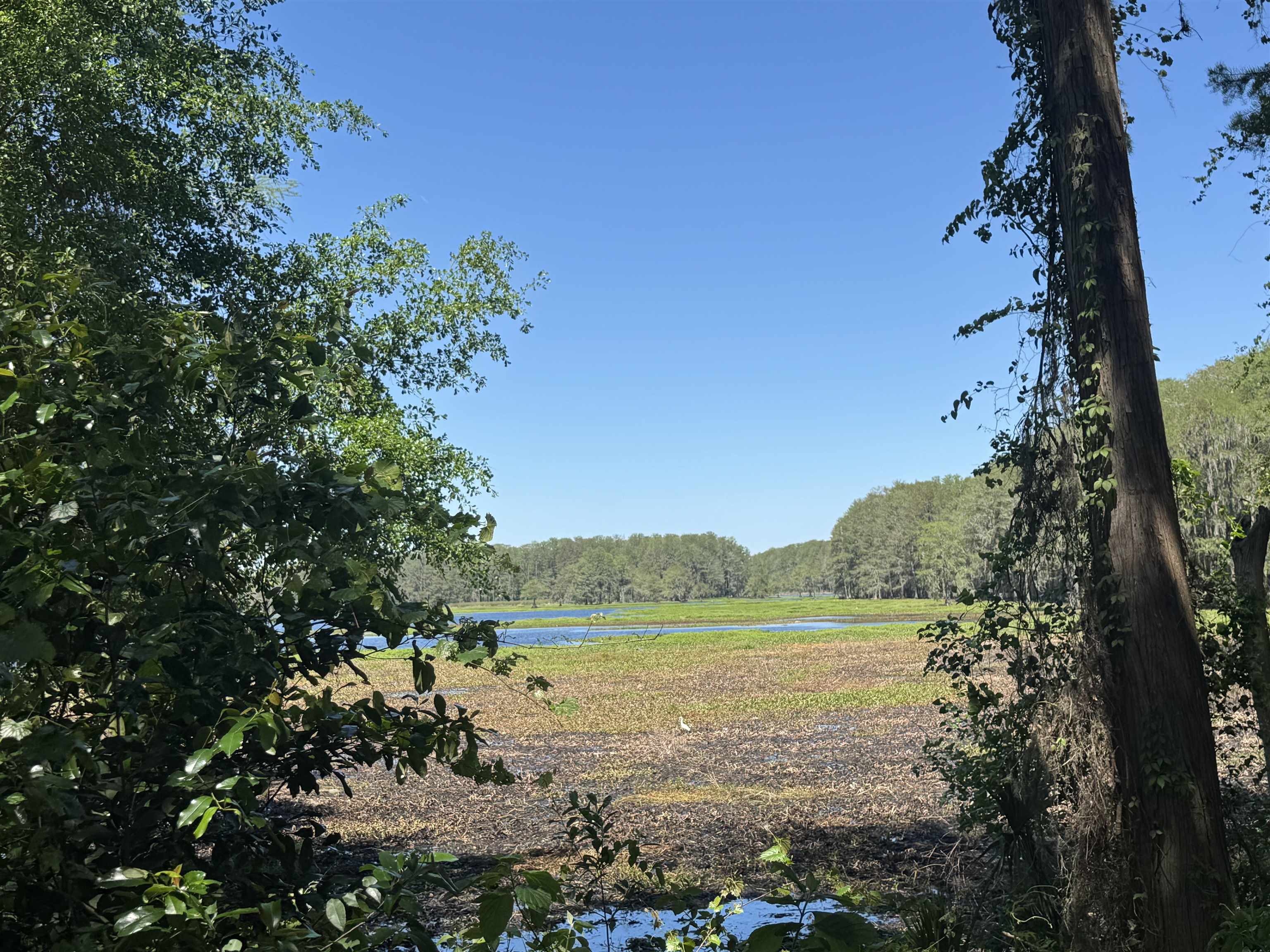 Palawan Road, Tallahassee, Texas image 14