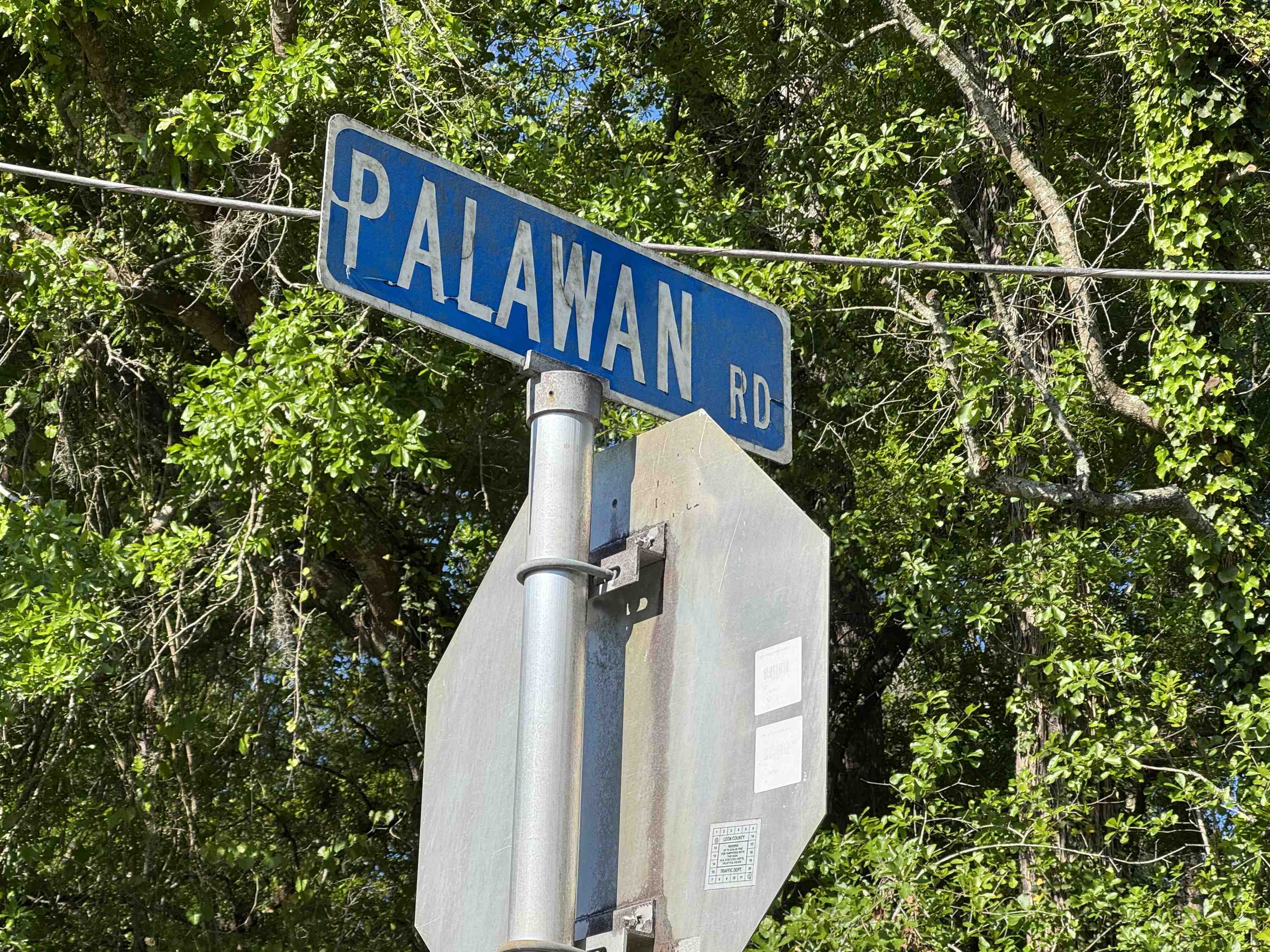 Palawan Road, Tallahassee, Texas image 8