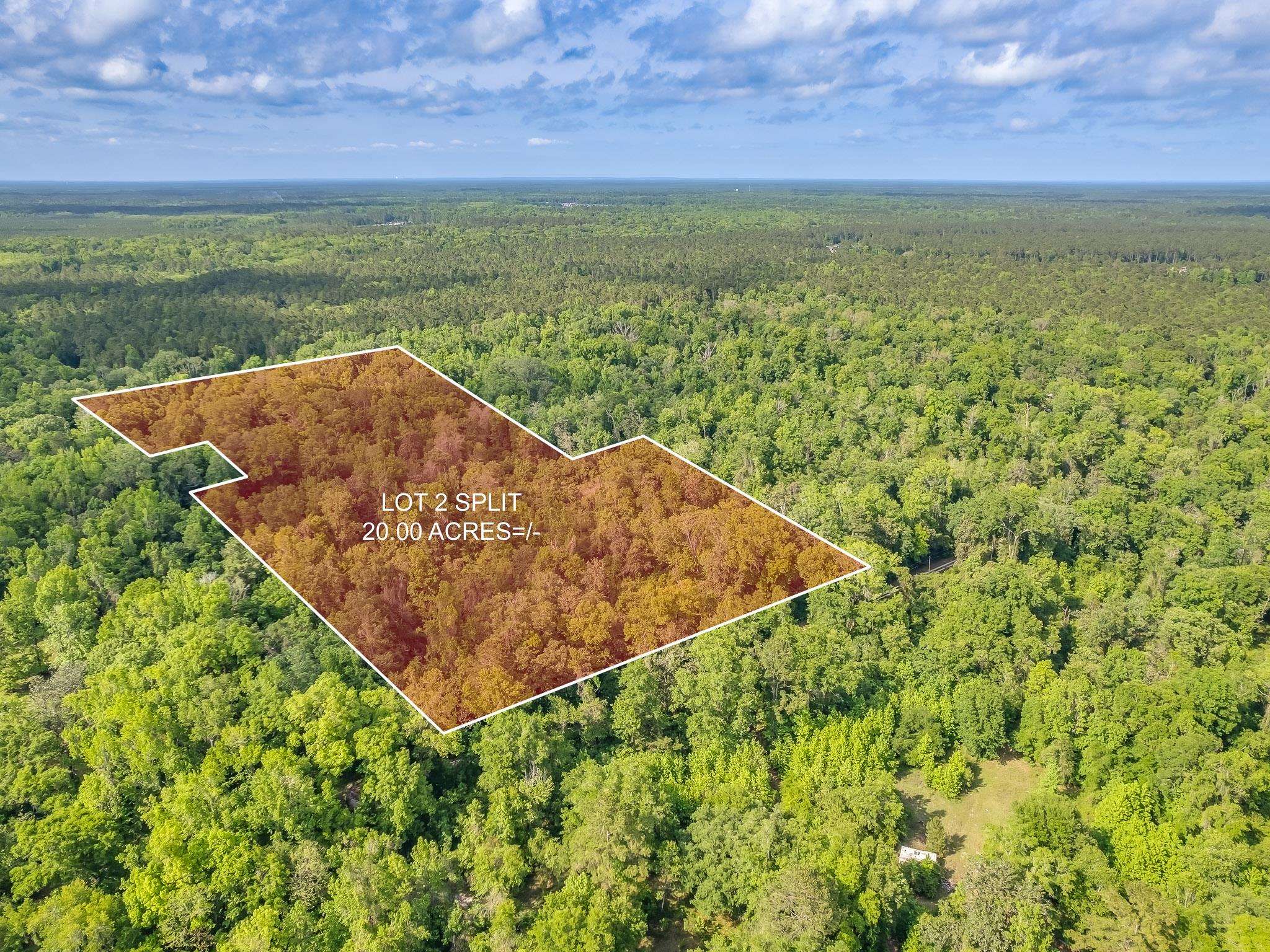 20 Ac Old Town Hammock Lane, Crawfordville, Texas image 1