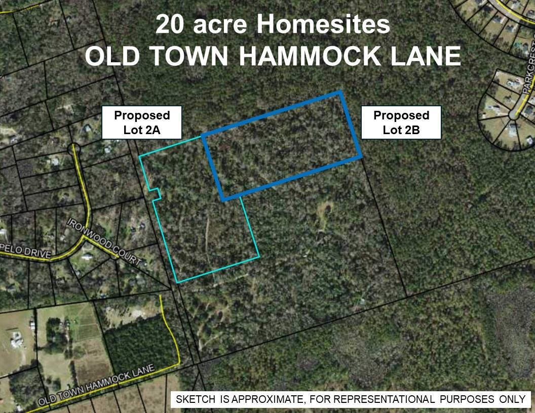 20 Ac Old Town Hammock Lane, Crawfordville, Texas image 11