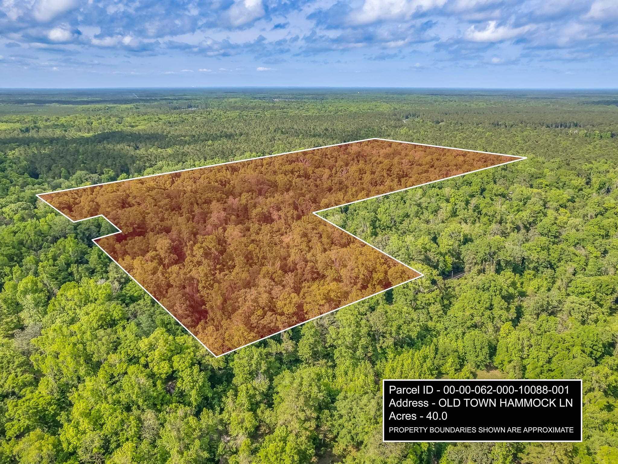 20 Ac Old Town Hammock Lane, Crawfordville, Texas image 13