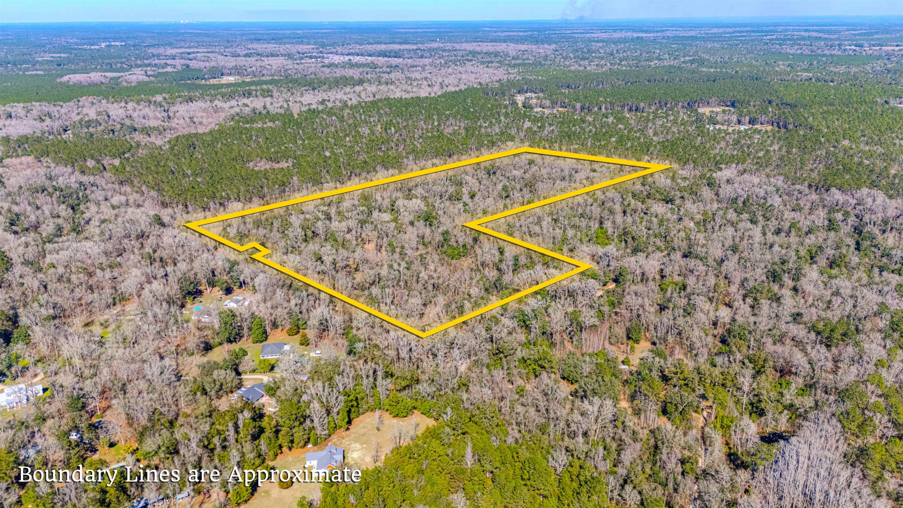 20 Ac Old Town Hammock Lane, Crawfordville, Texas image 14