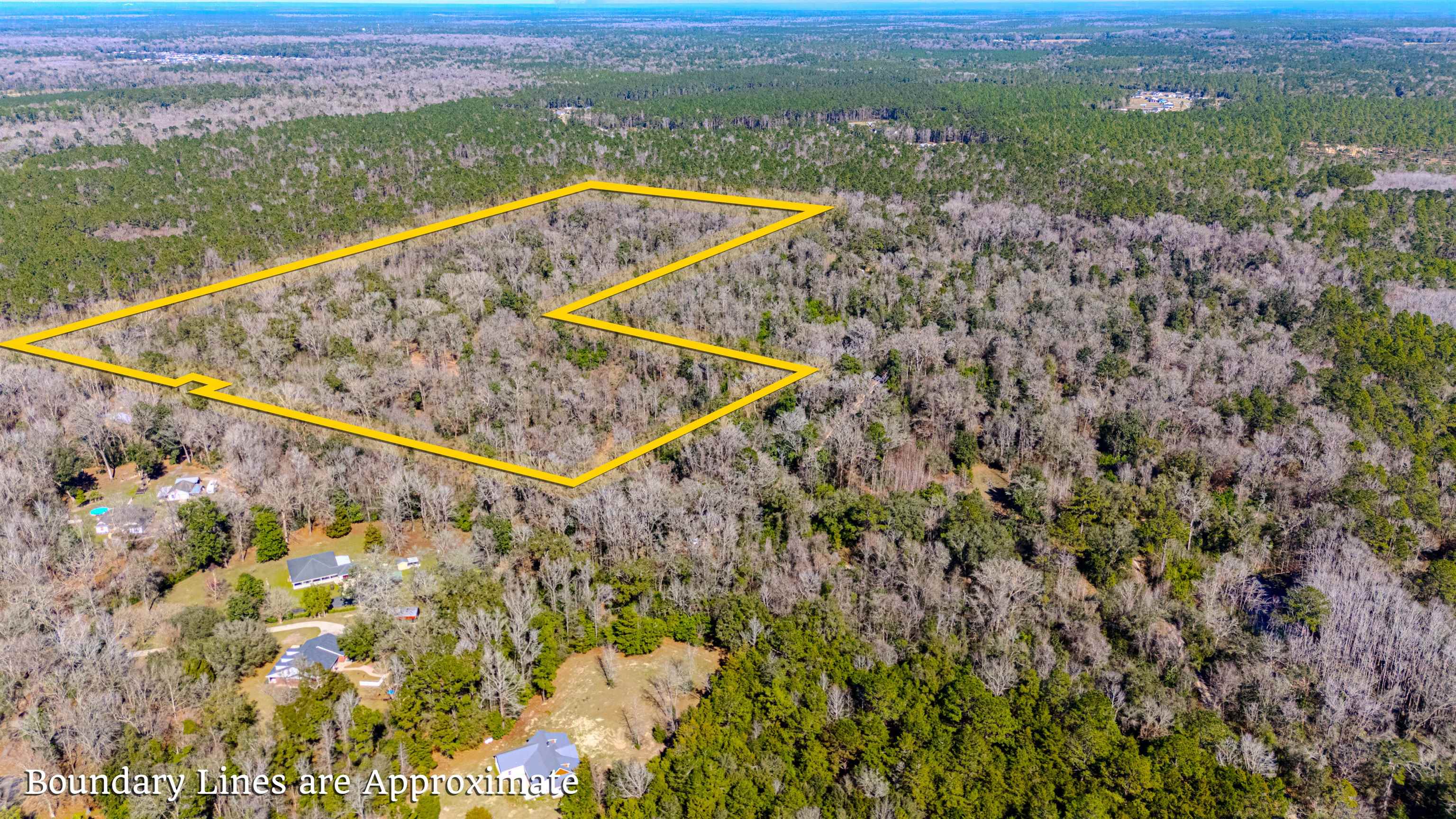 20 Ac Old Town Hammock Lane, Crawfordville, Texas image 15