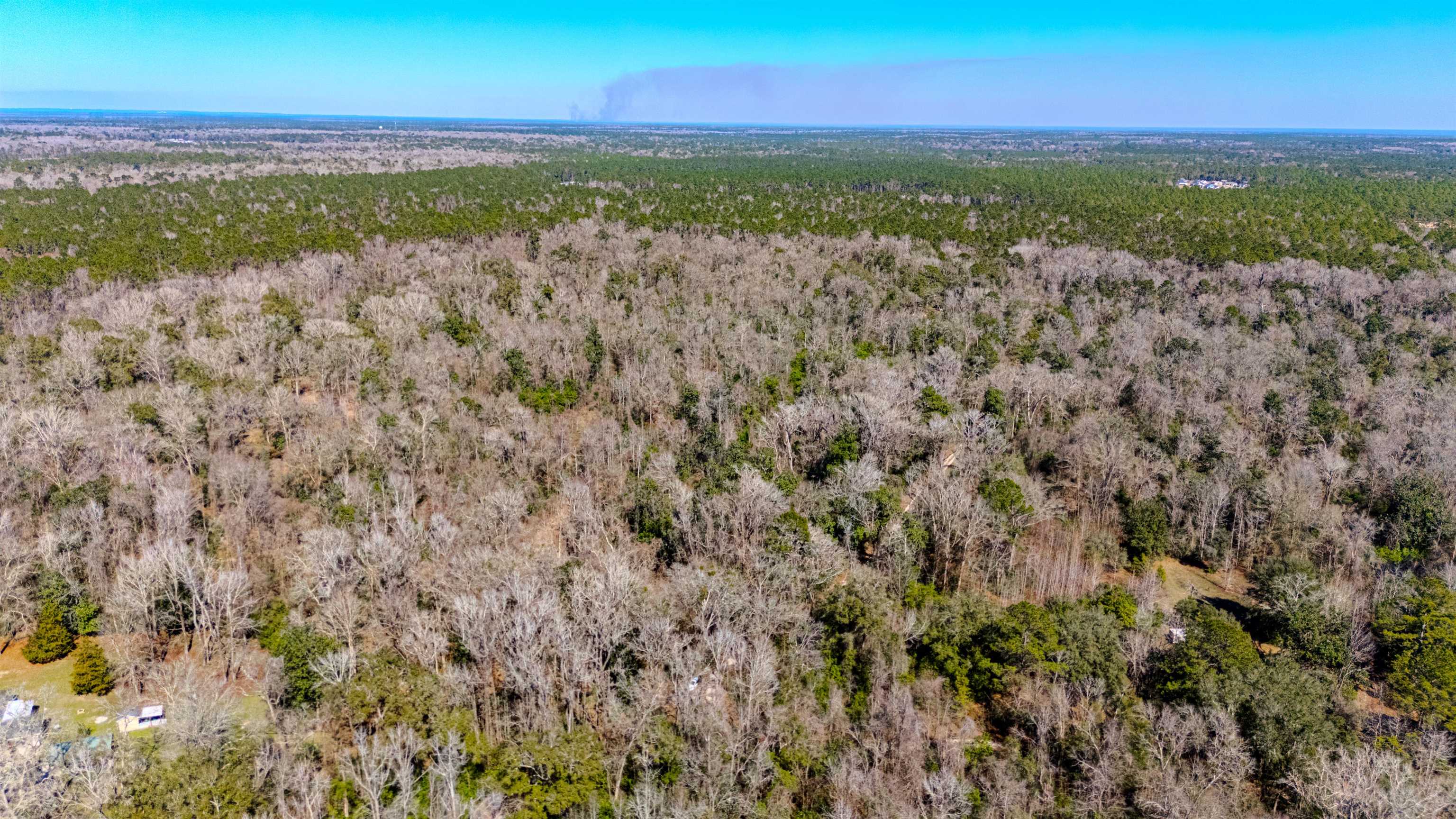 20 Ac Old Town Hammock Lane, Crawfordville, Texas image 16