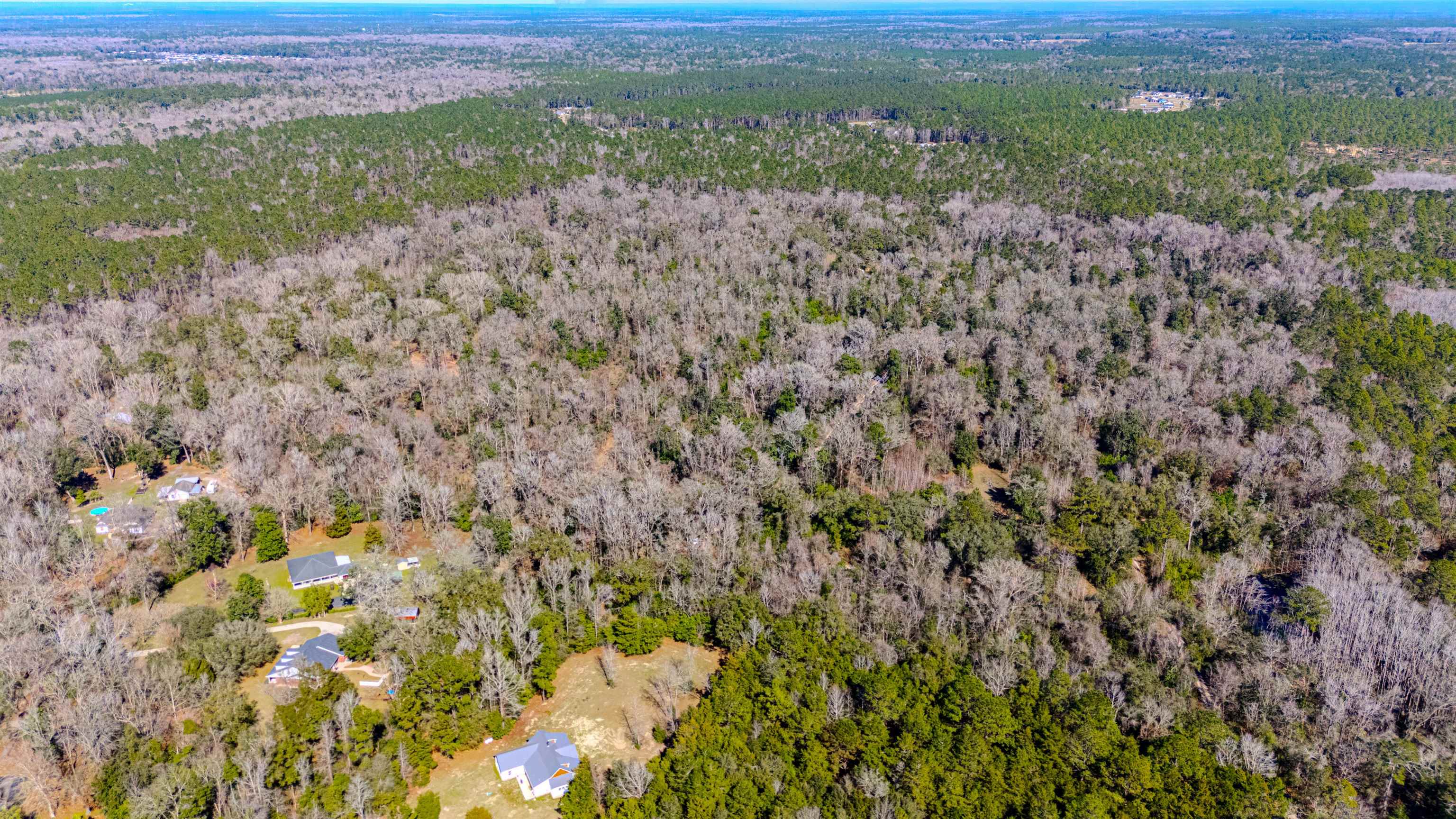 20 Ac Old Town Hammock Lane, Crawfordville, Texas image 18