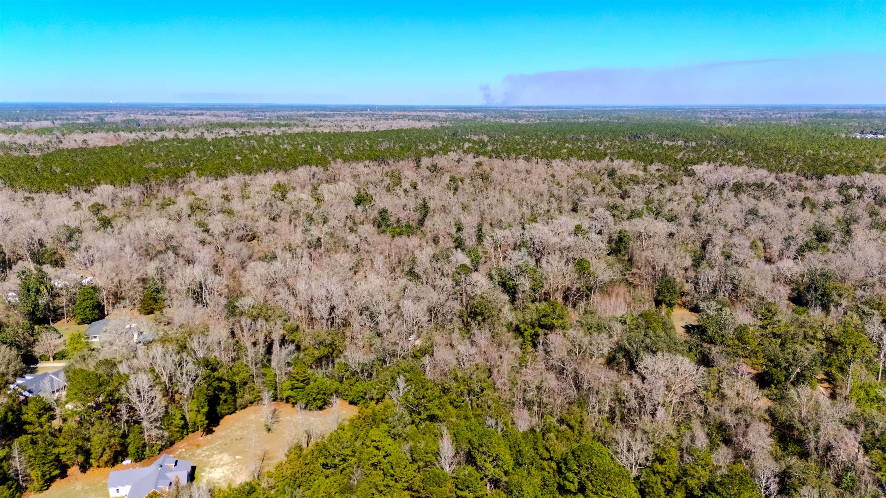 20 Ac Old Town Hammock Lane, Crawfordville, Texas image 19
