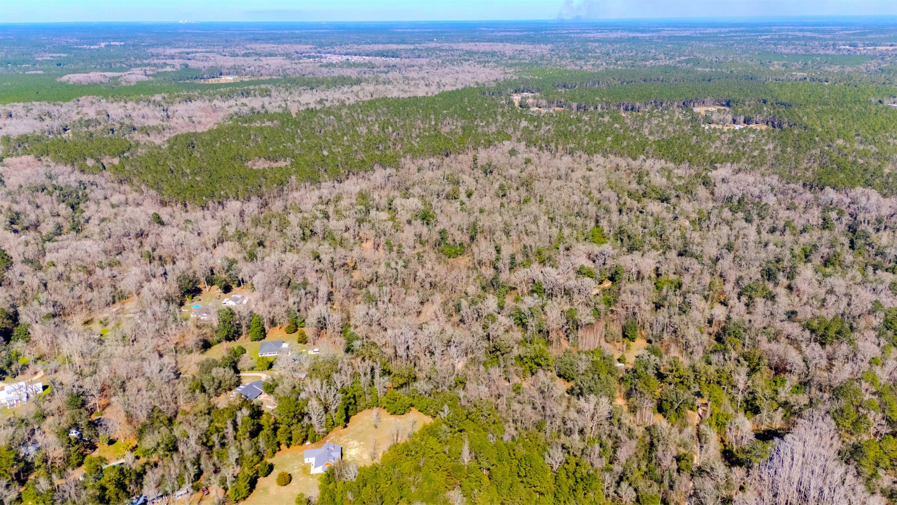 20 Ac Old Town Hammock Lane, Crawfordville, Texas image 20