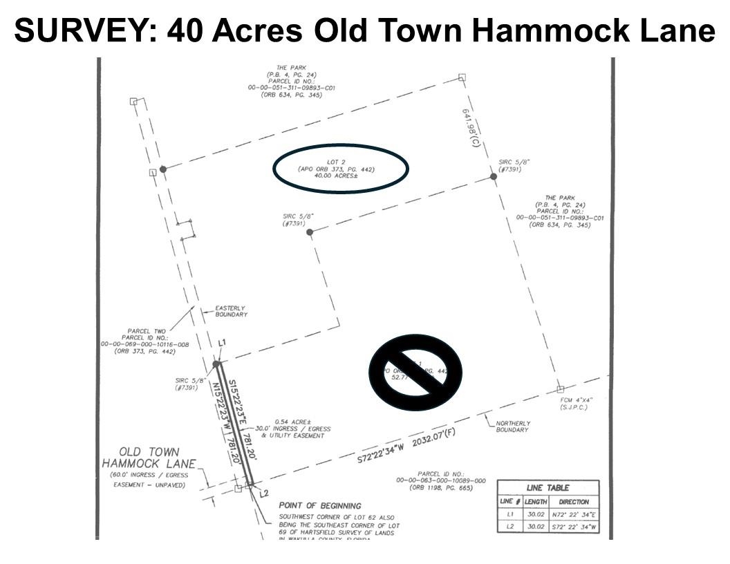 20 Ac Old Town Hammock Lane, Crawfordville, Texas image 4