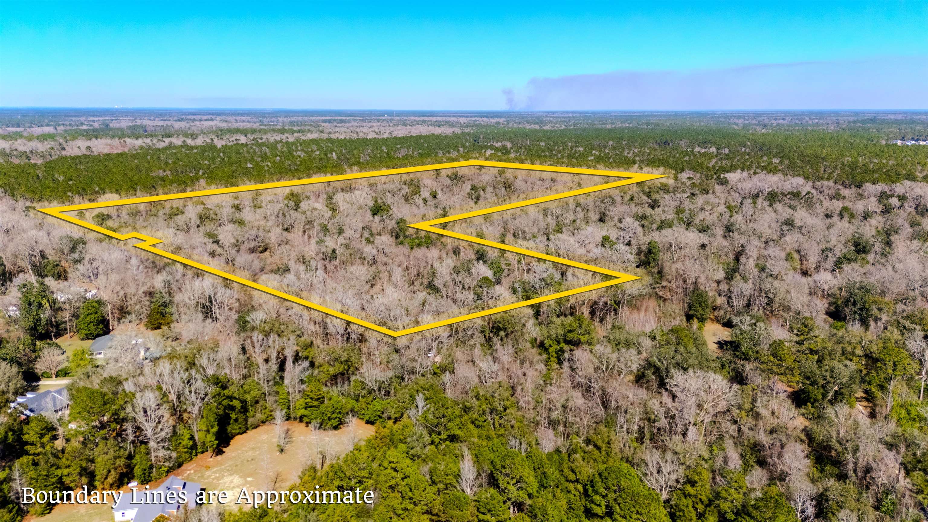 20 Ac Old Town Hammock Lane, Crawfordville, Texas image 5