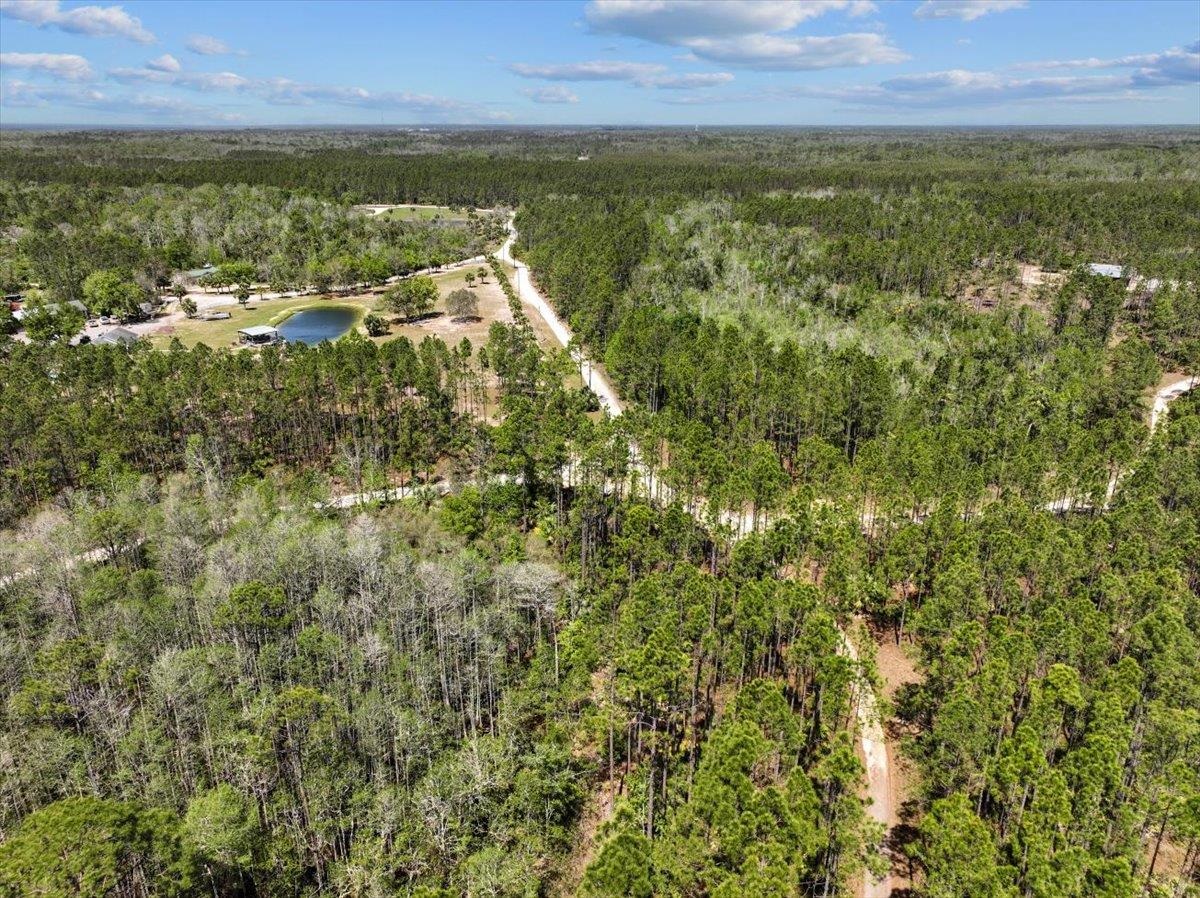 TBD Sw 345th Avenue, Steinhatchee, Florida image 11