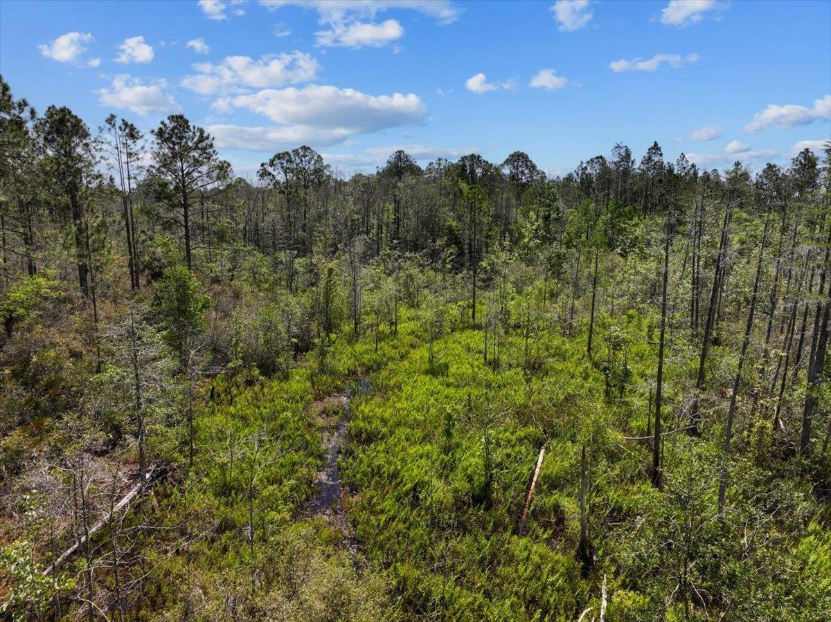 TBD Sw 345th Avenue, Steinhatchee, Florida image 14