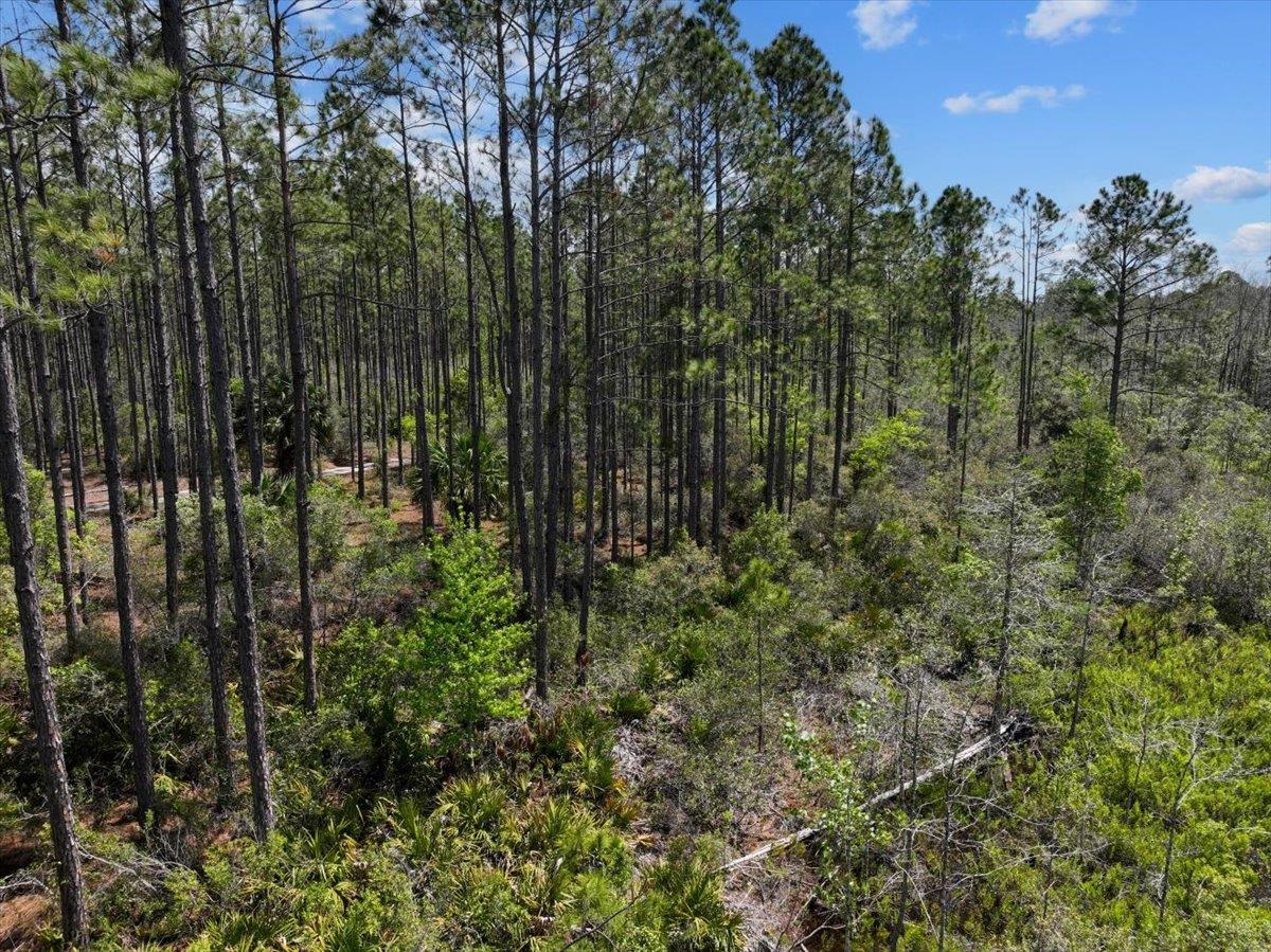 TBD Sw 345th Avenue, Steinhatchee, Florida image 15