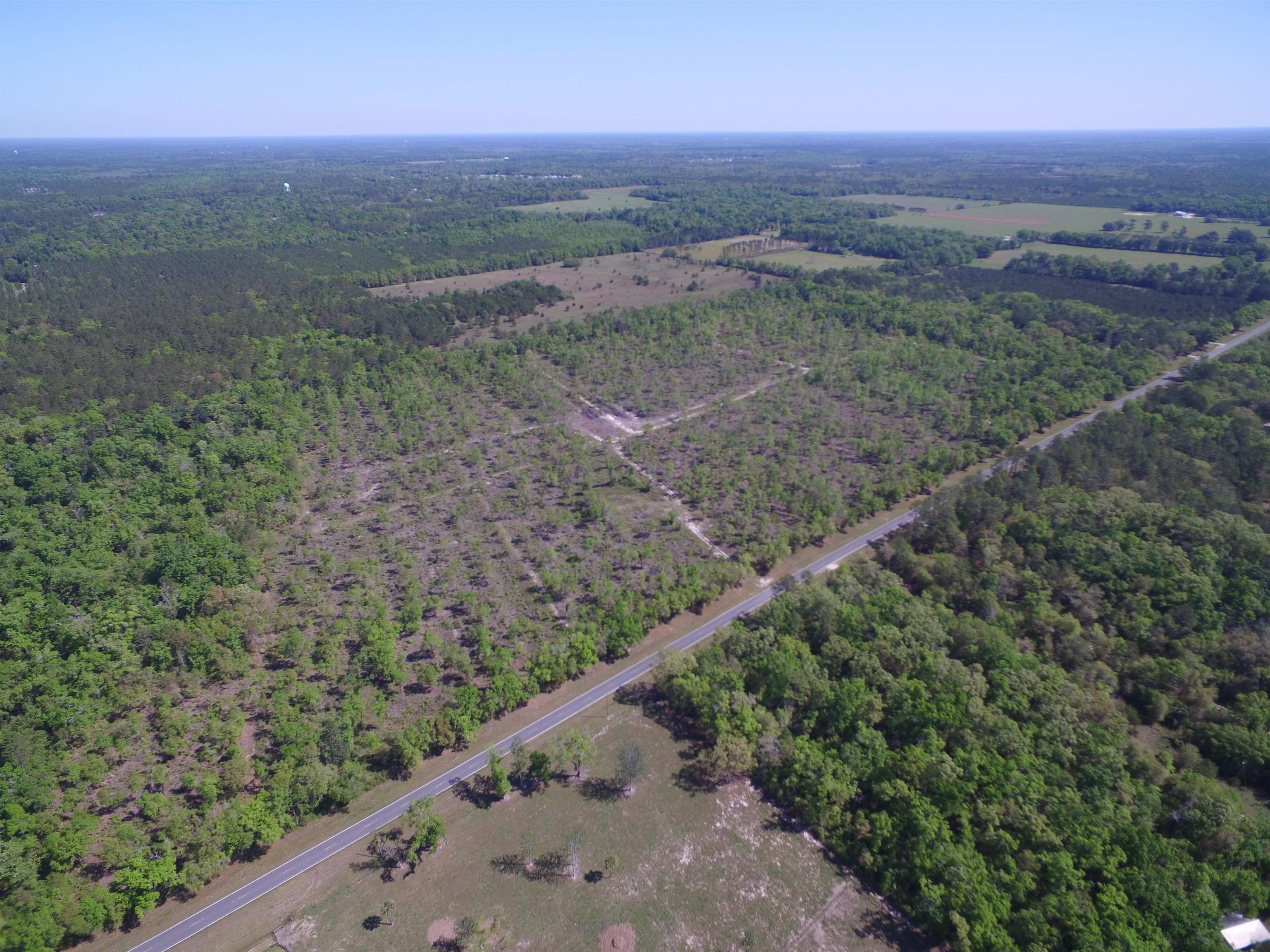 Xx Jack Crum Road, Crawfordville, Texas image 11
